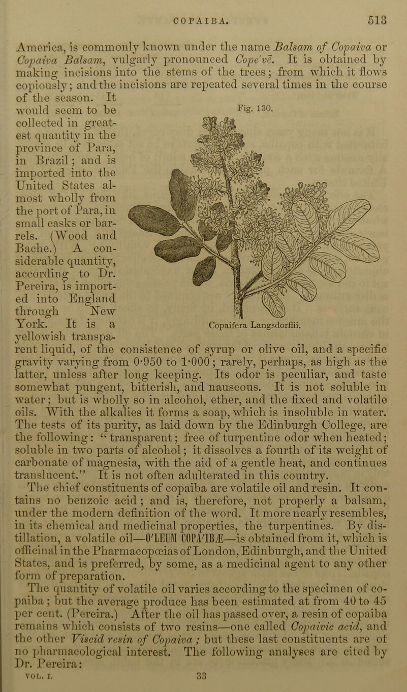 America, is commonly known nnder the name Balsam of Copaiva or Copaiva Balsam, vulgarly pronounced Cope've. It is obtained by making incisions into the stems of the trees; from which it flows copiously; and the incisions are repeated several times in the course of the season. It would seem to be Fig. 130, Copaifera Langsdorffii. collected in great- est quantity in the province of Para, in Brazil; and is imported into the United States al- most wholly from the port of Para, in small casks or bar- rels. (Wood and Bache.) A con- siderable quantity, according to Dr. Pereira, is import- ed into England through Hew York. It is a yellowish transpa- rent liquid, of the consistence of syrup or olive oil, and a specific gravity varying from 0-950 to 1*000; rarely, perhaps, as high as the latter, unless after long keeping. Its odor is peculiar, and taste somewhat pungent, bitterish, and nauseous. It is not soluble in water; but is wdiolly so in alcohol, ether, and the flLxed and volatile oils. With the alkalies it forms a soap, which is insoluble in water. The tests of its purity, as laid down by the Edinburgh College, are the following: “ transparent; free of turpentine odor when heated; soluble in two parts of alcohol; it dissolves a fourth of its weight of carbonate of magnesia, with the aid of a gentle heat, and continues translucent.” It is not often adulterated in this country. The chief constituents of copaiba are volatile oil and resin. It con- tains no benzoic acid; and is, therefore, not properly a balsam, under the modern definition of the word. It more nearly resembles, in its chemical and medicinal properties, the turpentines. By dis- tillation, a volatile oil—O'LEUM COPAflByE—is obtained from it, which is officinal in the Pharmacopoeias of London, Edinburgh, and the United States, and is preferred, by some, as a medicinal agent to any other form of preparation. The quantity of volatile oil varies according to the specimen of co- paiba ; but the average produce has been estimated at from 40 to 45 per cent. (Pereira.) After the oil has passed over, a resin of copaiba remains which consists of two resins—one called Copaivic acid, and the other Viscid resin of Copaiva ; but these last constituents are ot no ])harmacological interest. The following anal^’scs are cited by Dr. Pereira: VOL. I, 33