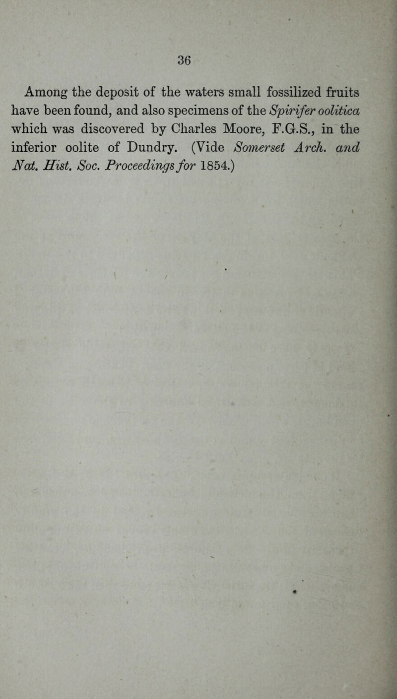 Among the deposit of the waters small fossilized fruits have been found, and also specimens of the Spirifer oolitica which was discovered by Charles Moore, F.G.S., in the inferior oolite of Dundry. (Vide Somerset Arch, and Nat, Hist. Soc. Proceedings for 1854.)