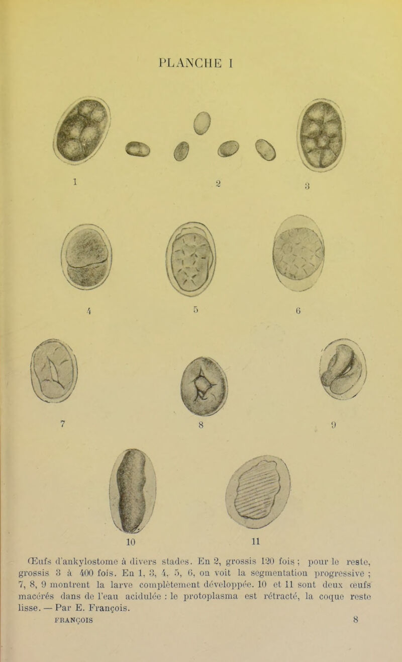 JVLANCIIE l Œufs d'ankylostomo à divers stades. En 2, grossis 120 fois; pour le reste, grossis O à -400 fois. En 1, 0, 4, ô, 0, on voit la segmentation ])rogressivc ; 7, 8, 9 montrent la larve complètement développée. 10 et 11 sont deux œufs macérés dans de l’eau acidulée : le protoplasma est rétracté, la coque reste lisse. — Par E. François.