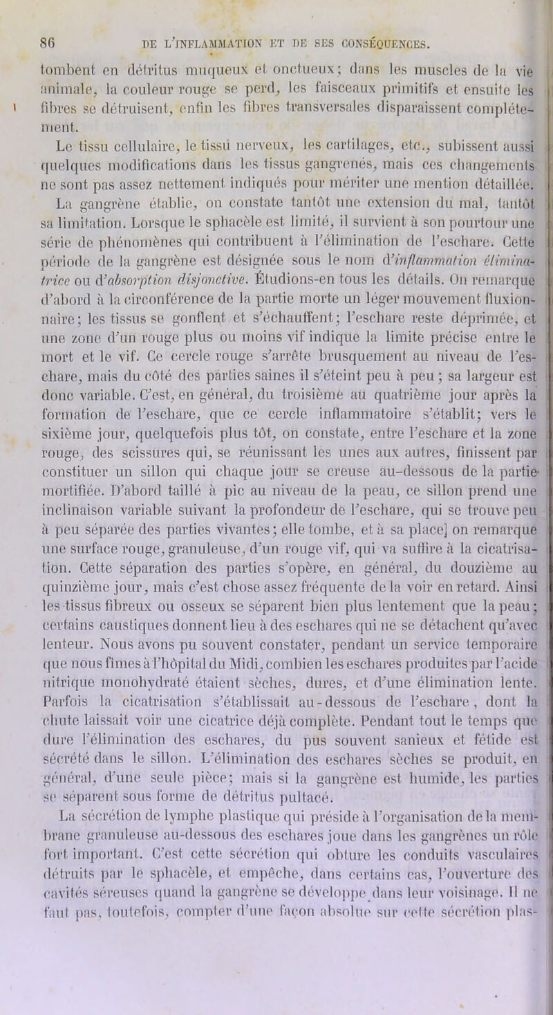 lombent on (It^tritus nmquoux ol onctueux ; dans les muscles de la vie animale, la couleur rouge se perd, les faisceaux primitifs et ensuite les fibres se détruisent, enfin les fibres transversales disparaissent complète- ment. I Le tissu cellulaire, le tissii nerveux, les cartilages, etc., subissent aussi . quelques modifications dans les tissus gangrenés, mais ces cbangemcnls ^ ne sont pas assez nettement indiqués pour mériter une mention détaillée, j La gangrène établie, on constate tantôt une extension du mal, tantôt | sa limitation. Lorsque le spbacèle est limité, il survient à son pourtour une | série do phénomènes qui contribuent à rélimination de l’escbarc. Cette I période de la gangrène est désignée sous le nom iVinflammation élimina- tricc ou d’absorption disjonctive. Étudions-en tous les détails. Un remarque d’abord à la circonférence de la partie morte un léger mouvement lluxion- naire; les tissus se gonflent et s’échauffent; l’escharc reste déprimée, et une zone d’un rouge plus ou moins vif indique la limite précise entre le mort et le vif. Ce cercle rouge s’arrête brusquement au niveau de l’es- cbare, mais du côté des parties saines il s’éteint peu à peu ; sa largeur est donc variable. C’est, en général, du troisième au quatrième jour après la formation de l’eschare, que ce cercle inflammatoire s’établit; vers le sixième jour, quelquefois plus tôt, on constate, entre l’eschare et la zone rouge, des scissures qui, se réunissant les unes aux autres, finissent par (îonstituer un sillon qui chaque joitr se creuse au-dessous de la partie- mortifiée. D’ahord taillé à pic au niveau de la peau, ce sillon prend une inclinaison variable suivant la profondeur de l’eschare, qui se trouve peu à pou séparée des parties vivantes; elle tombe, et à sa place] on remarque une surface rouge, granuleuse, d’un rouge vif, qui va suffire à la cicatrisa- tion. Cette séparation des parties s’opère, en général, du douzième au quinzième jour, mais c’est chose assez fréquente delà voir en retard. Ainsi les tissus fibreux ou osseux se séparent bien plus lentement que la peau ; certains caustiques donnent lieu à des eschares qui ne se détachent qu’avec lenteur. Nous avons pu souvent constater, pendant un service temporaire que nous fîmes à l’hôpital du Midi, combien les eschares produites par l’acide nitrique monohydraté étaient sèches, dures, et d’une élimination lente. - Parfois la cicatrisation s’établissait au-dessous de l’eschare, dont la chute laissait voir une cicatrice déjà complète. Pendant tout le temps que dure l’élimination des eschares, du pus souvent sanieux et fétide est ' sécrété dans le sillon. L’élimination des eschares sèches se produit, en général, d’une seule pièce; mais si la gangrène est humide, les parties i se séparent sous forme de détritus pultacé. La sécrétion de lymphe plastique qui préside à l’organisation de la mem- l| branc granuleuse au-dessous des eschares joue dans les gangrènes un rôle fort important. C’est cette sécrétion qui obture les conduits vasculaires détruits par le spbacèle, et empêche, dans certains cas, l’ouverture des I cavités séreuses cjuand la gangrène se dévelopj)e clans leur voisinage. 11 ne faut pas. toutefois, compter d’inu' façon absolue sur cette sécrétion ptas-