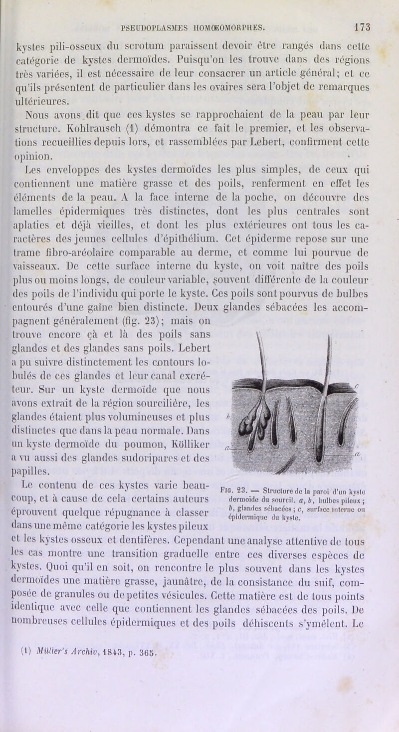 kystes pili-osseux du seroluni paraissent devoir être rangés dans eelle ealégorie de kystes dermoides. Puisqu’on les trouve dans des régions très variées, il est nécessaire de leur consacrer un article général; et ce qu’ils présentent de particulier dans les ovaires sera l’objet de remarques ultérieures. Nous avons dit que ces kystes se rapprochaient de la peau par leur strueture. Kohlrausch (i) démontra ce fait le premier, cl les observa- tions recueillies depuis lors, et rassemblées par Lebert, confirment celle opinion. Les enveloppes des kystes dermoïdes les plus simples, de ceux qui contiennent une matière grasse cl des poils, renferment en effet les éléments de la peau. .V la face interne de la poche, on découvre des lamelles épidermiques très distinctes, dont les plus centrales sont aplaties et déjà vieilles, et dont les plus extérieures ont tous les ca- ractères des jeunes cellules d’épilbélium. Cet épiderme repose sur une trame fibro-aréolairc comparable au derme, et comme lui pourvue de vaisseaux. De cette surface interne du kyste, on voit naître des poils plus ou moins longs, <le couleur variable, çouvenl différente de la couleur des poils de l’individu qui porte le kyste. Ces poils sont pourvus de bulbes entourés d’une gaine bien distincte. Deux glandes sébacées les accom- pagnent généralement (fig. 23); mais on trouve encore (;à et là des poils sans glandes cl des glandes sans poils. Lebert a pu suivre distinctement les contours lo- bulés de ces glandes cl leur canal excré- teur. Sur un kyste dermoïde que nous avons extrait de la région sourcilière, les glandes étaient plus volumineuses et plus distinctes que dans la peau normale. Dans lin kyste dermoïde du poumon, Külliker a vu aussi des glandes sudoripares et des papilles. Le contenu de ces kystes varie beau- coup, et à cause de cela certains auteurs éprouvent quelque répugnance à classer dans une même catégorie les kystes pileux et les kystes osseux cl denlifères. Cependant une analyse attentive de tous les cas montre une transition graduelle entre ces diverses espèces de kystes. Quoi qu’il en soit, on rencontre le plus souvent dans les kystes dermoïdes une matière grasse, jaunâtre, de la consistance du suif, com- posée de granules ou de petites vésicules. Cette matière est de tous points identique avec celle que conliciment les glandes sébacées des poils. De nombreuses cellules épidermiques cl des poils déhiscents s’ymêlent. Le Fio. 23. — Slnicturc de la paroi d'iin kyslo dermoïde du sourcil, a, b, bulbes pileux ; b, glandes sébacées ; c, surface interne ou épidermitiue du kyste. (l) Müller’s Àrchiv, 18i3, p. 365.