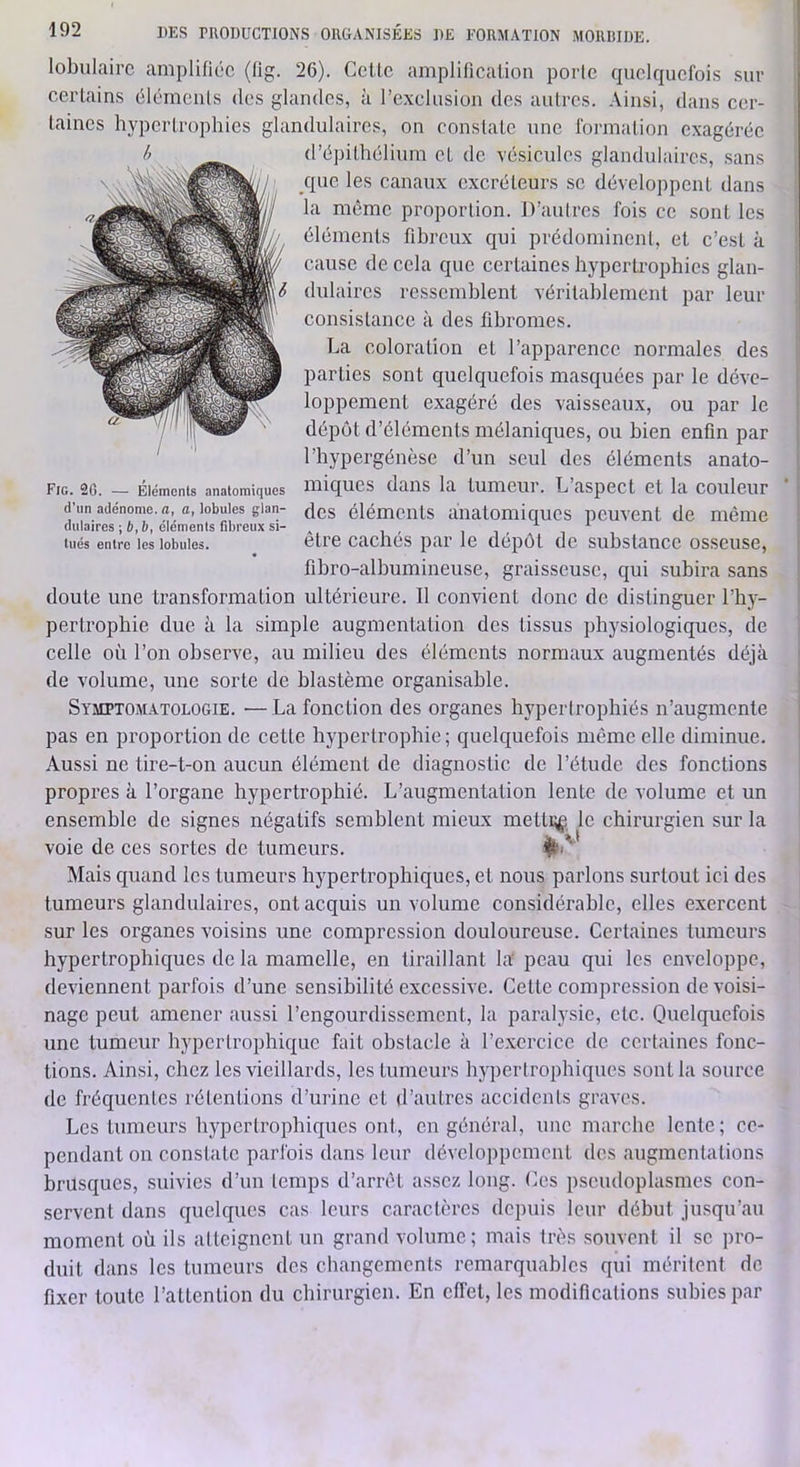 lobulaire amplifiée (lig. 26). Celte amplilication porte quelquefois sur certains éléments des glandes, à rcxclusion des autres, .\insi, dans cer- taines hypertrophies glandulaires, on constate une formation exagérée d’épithélium et de vésicules glandulaires, sans que les canaux excréteurs se développent dans la même proportion. D’autres fois ce sont les éléments fibreux qui prédominent, et c’est à cause de cela que certaines hypertrophies glan- dulaires ressemblent véritablement par leur consistance à des fibromes. La coloration et l’apparence normales des parties sont quelquefois masquées par le déve- loppement exagéré des vaisseaux, ou par le dépôt d’éléments mélaniques, ou bien enfin par l’hypergénèse d’un seul des éléments anato- miques dans la tumeur. L’aspect et la couleur * des éléments anatomiques peuvent de même être cachés par le dépôt de substance osseuse, fibro-albumineuse, graisseuse, qui subira sans doute une transformation ultérieure. Il convient donc de distinguer l’hy- pertrophie due à la simple augmentation dos tissus physiologiques, de celle où l’on observe, au milieu des éléments normaux augmentés déjà de volume, une sorte de blastème organisable. Symptomatologie. —La fonction des organes hj'perlrophiés n’augmente pas en proportion de cette hypertrophie ; quelquefois même elle diminue. Aussi ne tire-t-on aucun élément de diagnostic de l’étude des fonctions propres à l’organe hypertrophié. L’augmentation lente de volume et un ensemble de signes négatifs semblent mieux mettLf le chirurgien sur la voie de ces sortes de tumeurs. Mais quand les tumeurs hypertrophiques, et nous parlons surtout ici des tumeurs glandulaires, ont acquis un volume considérable, elles exercent sur les organes voisins une compression douloureuse. Certaines tumeurs hypertrophiques de la mamelle, en tiraillant la' peau qui les enveloppe, deviennent parfois d’une sensibilité excessive. Cette compression de voisi- nage peut amener aussi l’engourdissement, la paralysie, etc. Quelquefois une tumeur hypertrophique fait obstacle à l’exercice de certaines fonc- tions. Ainsi, chez les vieillards, les tumeurs hypertrophiques sont la source de fréquentes rétentions d’urine et d’autres accidents graves. Les tumeurs hypertrophiques ont, en général, une marche lente; ce- pendant on constate parfois dans leur développement des augmentations brusques, suivies d’un temps d’arrêt assez long. Ces pseudoplasmes con- servent dans quelques cas leurs caractères depuis leur début jusqu’au moment où ils atteignent un grand volume ; mais très souvent il se pro- duit dans les tumeurs des changements remarquables qui méritent de fixer toute rallention du chirurgien. En effet, les modifications subies par l, Fig. 20. — Éléments anatomiques d’un adénome, a, a, lobules glan- dulaires ; b, b, éléments fibreux si- tués entre les lobules.