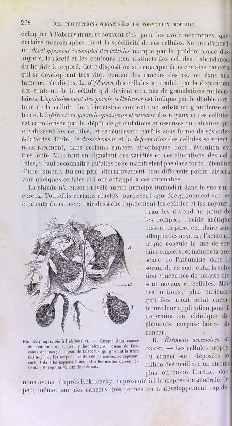 échapper à l’observateur, et souvent c’est pour les avoir méconnues, que certains micrograplies nient la spécificité de ces cellules. Notons d’abord un développement incomplet des cellules marqué par la prédominance desi noyaux, la rareté et les contours peu distincts des cellules, l’abondancei du liquide interposé. Getle disposition se remarque dans certains cancers qui se développent très vite, comme les cancers des os, ou dans des tumeurs récidivées. La diffluence des cellules se traduit par la disparition des contours de la cellule qui devient un amas de granulations molécu-« laires. Vépaississement des parois cellulaires est indiqué par le double con- r tour de la cellule dont l’interstice contient une substance granuleuse ou j Xevne.h’in filtration granulo-graisseuse et calcaire des noyaux et des cellulesi est caractérisée par le dépôt de granulations graisseuses ou calcaires qui] envahissent les cellules, et se réunissent parfois sous forme de vésicules éclatantes. Enfin, le dessèchement et la déformation des cellules se voient, mais rarement, dans certains cancers atrophiques dont l’évolution est très lente. Mais tout en signalant ces variétés et ces altérations des cel Iules, il faut reconnaître qu’elles ne se manifestent pas dans toute l’étendue d’une tumeur. Du suc pris alternativement dans différents points laissera voir quelques cellules qui ont échappé à ces anomalies. La chimie n’a encore révélé aucun principe immédiat dans le suc can-i céreux. Toutefois certains réactifs paraissent agir énergiquement sur le^ éléments du cancer: l’air dessèche rapidement les cellules et les noyaux; l’eau les distend au point d(^ les rompre; l’acide acétique dissout la paroi cellulaire sam^ attaquer les noyaux; l’acide ni- trique coagule le suc de cer- tains cancers, et indique la prêt scnce de l’albumine dans h sérum de ce suc; enfin la solu- tion concentrée de potasse dis^ sont noyaux et cellules. Mai ces notions, plus curieuse; qu’utiles, n’ont point encor; trouvé leur application pour h détermination chimique de: éléments corpusculaires di cancer. B. Eléments accessoires di cancer. — Les cellules propre; du cancer sont déposées ai milieu des mailles d’un stromi .plus ou moins fibreux, don nous avons, d’après Rokitansky, représenté ici la disposition générale. üi peut même, sur des cancers très jeunes ou a développement rapide. Fio. 42 (empruntée à Dokilansky). — Stroma d'un cancer du poumon : a, a , tissu pulmonaire ; b, réseau de fais- ceaux op.ai|ues; c, réseau de faisceaux qui gardent la trace des noyaux ; les corpuscules du suc cancéreux se déposent surtout dans les espaces situés entre les mailles de ces ré- seaux ; d, rejeton villeux des roseaux.