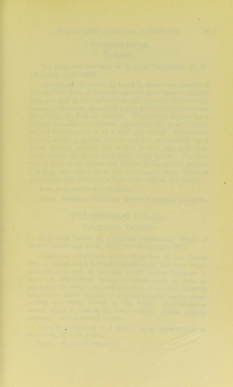 r* /* s'  ■ 'vrp,'’'’ ■ i * • . * J ,,(< *S • iSia^ixi m-)'x'tvi vf*'> a Tr i»' • *. r ' ; , .2 , ' C«/ ?> fr-4’^K“ nC xi * - i> ’’ >r- ►V’ 1 Ufi'W p?*Mi f.^'^>i ir' tf’trr k»» ■•» jj». ^ S»»y<hl» . »M, ,.wt <», .»*. Iff r • . - v! j-? ;rr V uji a .i ‘ 1 -r*^ l<^vi V-*^^.i- 1<^’'T. ■*' ■■^'W;-vT-y<».Ii,- »)iciv.r , -l'>j '-‘^'i'tlHIfcf t* •»• >Hr* « .''rWP V -<r|>tri4-j «4j[j if'iSif ^irs- “* ^'•‘ ij>: ► - X^MsIu^V .. .. . li; : V ^ ^v- * ■ ■4. i t'V' ^ boSpi^^ P •• - ' , . .. 6,. '* _4‘4v*P£»ttlrt'J ,. i. • t^-r- •■ < ■• 'v,< «t ■ jia<i ' AonT>; orj^ •. - ^ ^ytfxiiUr. ^ ■;* »* I t4 a ^ *tt ejTif'NA tfiiBf* >»IvrdA, ^ * , Mfc.l . • 4i' * • ; ^ ■ V^iS ~^^r ' y >'V,