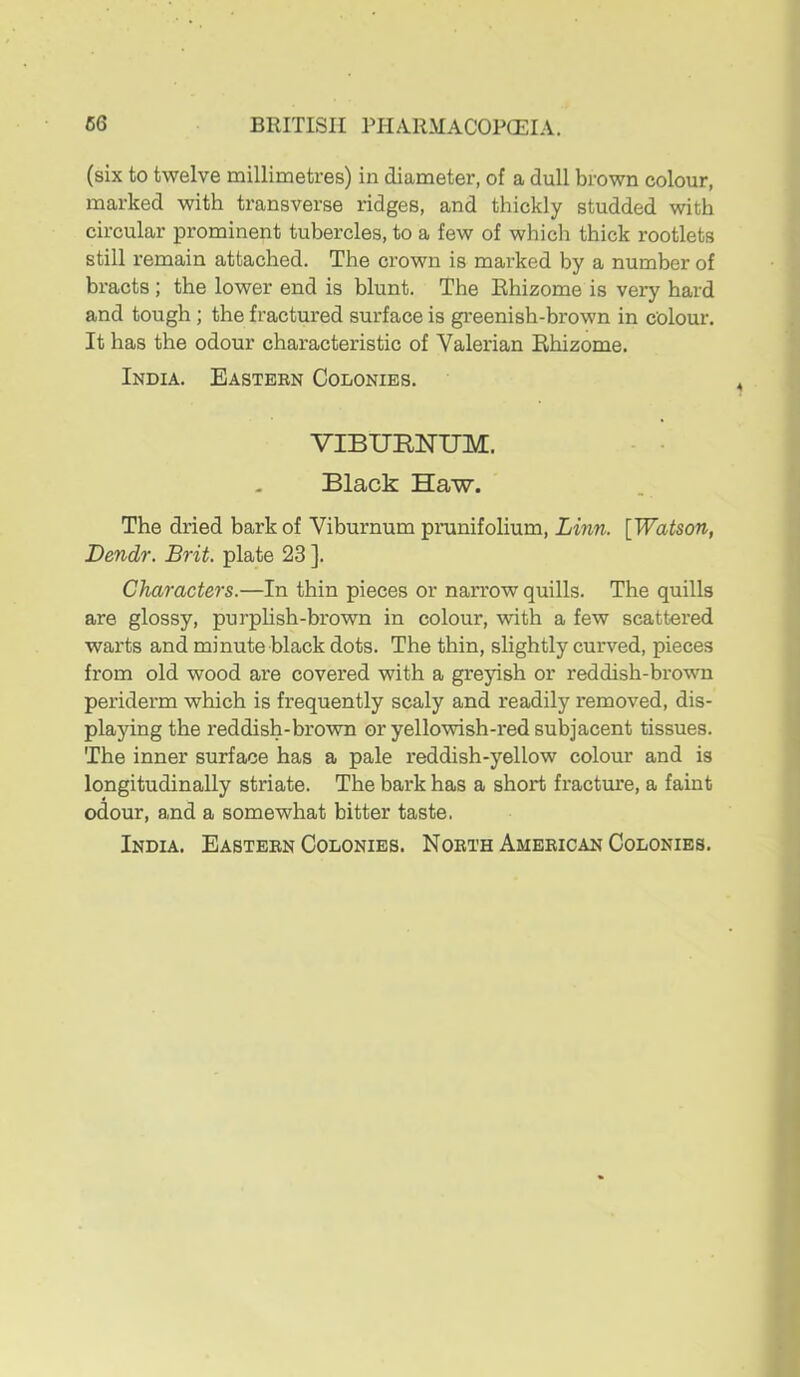 (six to twelve millimetres) in diameter, of a dull brown colour, marked with transverse ridges, and thickly studded with circular prominent tubercles, to a few of which thick rootlets still remain attached. The crown is marked by a number of bracts ; the lower end is blunt. The Ehizome is very hard and tough; the fractured surface is gi'eenish-brown in colour. It has the odour characteristic of Valerian Ehizome. India. Easteen Colonies. VIBURNUM. Black Haw. The dried bark of Viburnum prunifolium, Linn. [Watson, Dendr. Brit, plate 23 ]. Characters.—In thin pieces or narrow quills. The quills are glossy, purplish-brown in colour, with a few scattered warts and minute black dots. The thin, slightly curved, pieces from old wood are covered with a greyish or reddish-brown periderm which is frequently scaly and readily removed, dis- playing the reddish-brown or yellowish-red subjacent tissues. The inner surface has a pale reddish-yellow colour and is longitudinally striate. The bark has a short fracture, a faint odour, and a somewhat bitter taste. India. Easteen Colonies. NoethAmeeican Colonies.