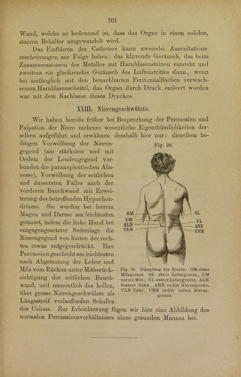 Wand, welche so bedeutend ist, dass das Organ in einen soliden, starren Behälter umgewandelt wird. Das Einführen des Catheters kann zweierlei Auscultations- erscheinungen zur Folge haben: das klirrende Geräusch, das beim Zusammenstossen des Metalles mit Harnblasensteinen entsteht und zweitens ein glucksendes Geräusch des Lufteintrittes dann, wenn bei umfänglich mit den benachbarten Peritonäalflächen verwach- senem Harnblasenscheitel, das Organ durch Druck entleert worden war mit dem Nachlasse dieses Druckes. XXIII. Nierengesckwtilste. Wir haben bereits früher bei Besprechung der Percussion und Palpation der Niere mehrere wesentliche Eigentkümlichkeiten der- selben aufgeführt und erwähnen desshalb hier nur: dieselben be- Fig. 28. dingen Vorwölbung der Nieren- gegend (am stärksten und mit Oedem der Lendengegend ver- bunden die paranephritischen Abs- cesse), Vorwölbung der seitlichen und äussersten Falles auch der vorderen Bauchwand mit Erwei- terung des betreffenden Hypockon- driums. Sie werden bei leerem Magen und Darme am leichtesten getastet, indem die linke Hand bei entgegengesetzter Seitenlage die Nierengegend von hinten der rech- ten etwas entgegendrückt. Ihre Percussion geschieht am leichtesten nach Abgränzung der Leber und Milz vom Rücken unter Mitberück- sichtigung der seitlichen Bauch- wand, und namentlich des hellen, über grosse Nierengeschwülste als Längsstreif verlaufenden Schalles des Colons. Zur Erleichterung fügen wir hier eine Abbildung des normalen Percussionsverhältnisses eines gesunden Mannes bei. Fig. 28. Dämpfung der Nieren. OM obere Milzgrenze, OL obere Lebergrenze, UM untere Milz-, UL untere Lebergrenze, ALN äussere linke, ARN rechte Nierengrenze, ULN linke , URN rechte untere Nieren- grenze.