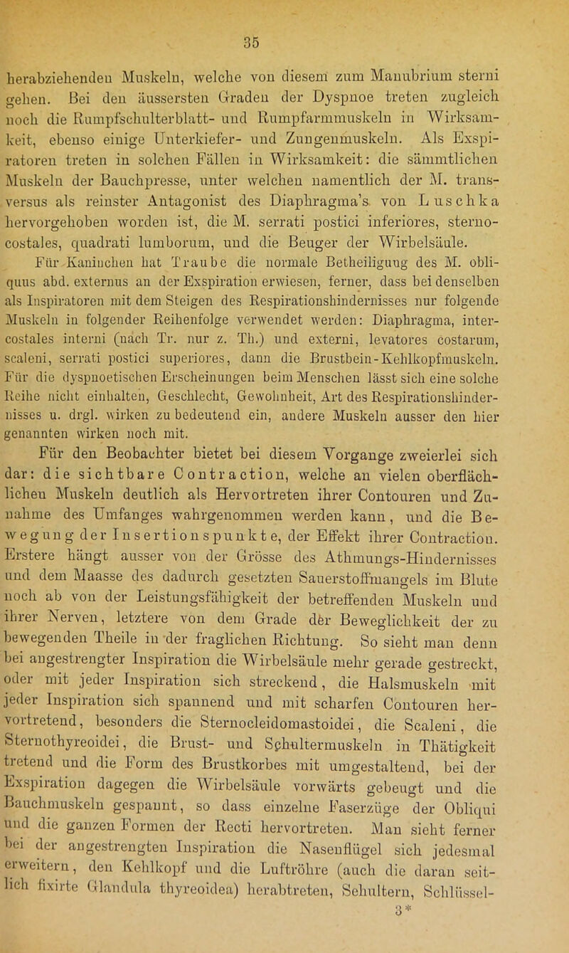 herabziehendeu Muskeln, welche von diesem zum Maimbrium sterni gehen. Bei den äussersten Graden der Dyspnoe treten zugleich noch die Rumpfschulterblatt- und Rumpfai’mmuskeln in Wirksam- keit, ebenso einige Unterkiefer- und Zuugenmuskeln. Als Exspi- ratoreu treten in solchen Fällen in Wirksamkeit: die sämmtlichen Muskeln der Bauehpresse, unter welchen namentlich der M. trans- versus als reinster Antagonist des Diaphragma’s. von Luschka hervorgehobeu worden ist, die M. serrati postici inferiores, steruo- costales, quadrati lumborum, und die Beuger der Wirbelsäule. Für Kaniuchen hat Traube die normale Betheiligung des M. obli- quus abd. externus an der Exspiration erwiesen, ferner, dass bei denselben als Inspiratoren mit dem Steigen des Respirationsbindernisses nur folgende Muskeln in folgender Reihenfolge verwendet werden: Diaphragma, inter- costales interni (nach Tr. nur z. Tb.) und externi, levatores costarum, scaleni, serrati postici superiores, dann die Brustbein-Keblkopfmuskeln. Für die dyspnoetischen Erscheinungen beim Menschen lässt sich eine solche Reihe nicht einhalteli, Geschlecht, Gewohnheit, Art des Respirationshiuder- nisses u. drgl. wirken zu bedeutend ein, andere Muskeln ausser den hier genannten wirken noch mit. Für den Beobachter bietet bei diesem Vorgänge zweierlei sich dar: die sichtbare Contraction, welche an vielen oberfläch- lichen Muskeln deutlich als Hervortreten ihrer Contouren und Zu- nahme des Umfanges wahrgenommeu werden kann, und die Be- weg u u g d e r I n s e r t i o n s p u n k t e, der Effekt ihrer Contractio u. Erstere hängt ausser von der Grösse des Athmuugs-Hiuderuisses und dem Maasse des dadurch gesetzten Sauerstoffmangels im Blute noch ab von der Leistungsfähigkeit der betreffenden Muskeln und ihrer Nerven, letztere von dem Grade dfer Beweglichkeit der zu bewegenden Theile in der fraglichen Richtung. So sieht mau denn bei angestrengter Inspiration die Wirbelsäule mehr gerade gestreckt, oder mit jeder Inspiration sich streckend, die Halsmuskeln mit jeder Inspiration sich spannend und mit scharfen Contouren her- vortretend, besonders die Sternocleidomastoidei, die Scaleni, die Steruothyreoidei, die Brust- und Sphultermuskeln in Thätigkeit tretend und die Form des Brustkorbes mit umgestalteud, bei der Exspiration dagegen die Wirbelsäule vorwärts gebeugt und die Bauchmuskeln gespannt, so dass einzelne Faserzüge der Obliqui und die ganzen Formen der Recti hervortreten. Mau sieht ferner bei der angestrengten Inspiration die Nasenflügel sich jedesmal erweitern, den Kehlkopf und die Luftröhre (auch die daran seit- lich fixirte Glandula thyreoidea) herabtreten, Sehultern, Schlüssel- 3=“