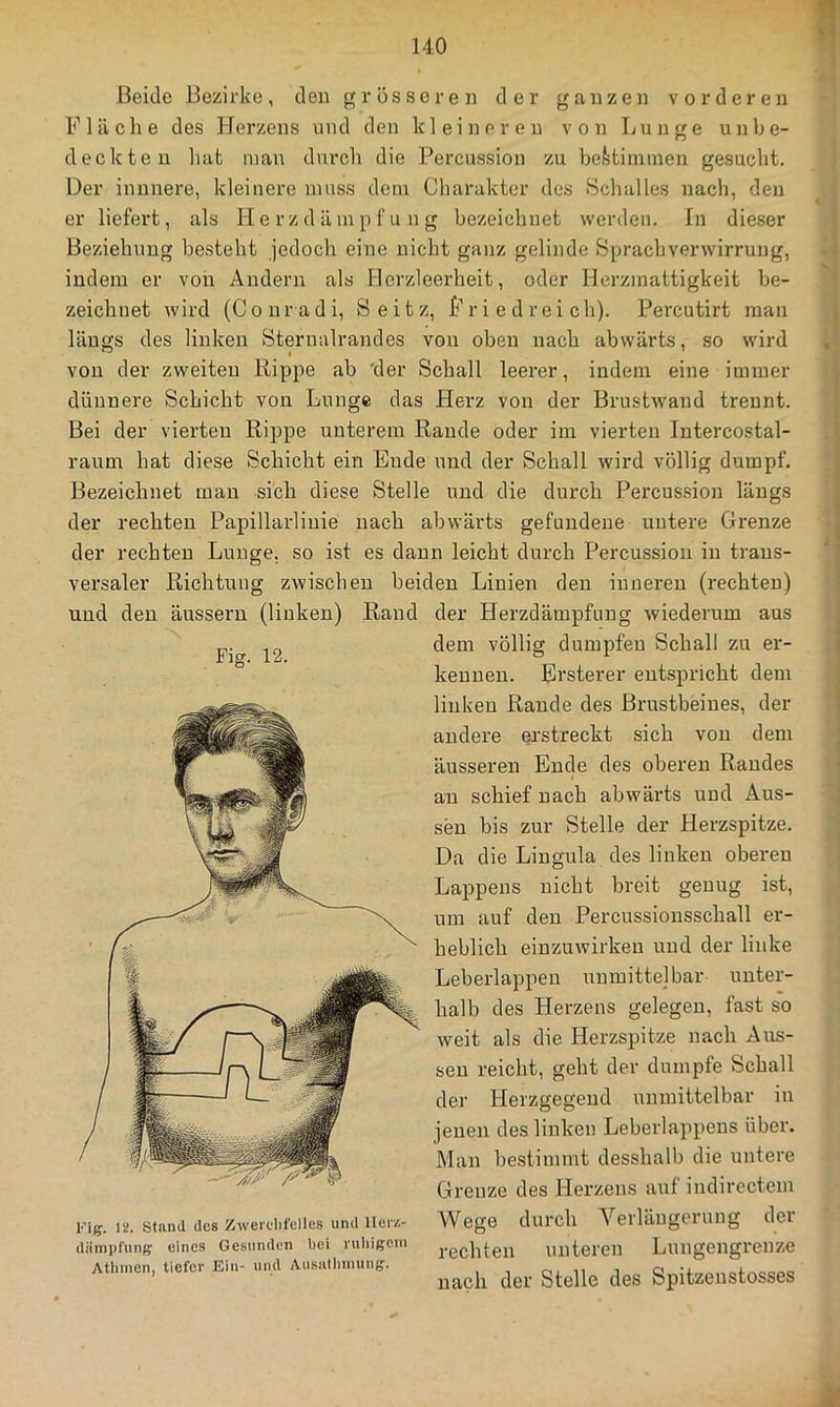 Beide Bezirke, den grösseren der ganzen vorderen Fläche des Herzens und den kleineren von Lunge unbe- deckten hat inan durch die Percussion zu be?>timinen gesucht. Der innnere, kleinere muss dem Charakter des Schalles nach, den er liefert, als H e rz d äm p f u n g bezeichnet werden. In dieser Beziehung besteht jedoch eine nicht ganz gelinde Sprachverwirrung, indem er von Andern als Hcrzleerheit, oder Herzmattigkeit be- zeichnet wird (Conradi, Seitz, Friedreich). Percutirt man längs des linken Sternalrandes von oben nach abwärts, so wird von der zweiten Hippe ab der Schall leerer, indem eine immer dünnere Schicht von Lunge das Herz von der Brustwand trennt. Bei der vierten Rippe unterem Rande oder im vierten Intercostal- raum hat diese Schicht ein Ende und der Schall wird völlig dumpf. Bezeichnet man sich diese Stelle und die durch Percussion längs der rechten Papillarlinie nach abwärts gefundene untere Grenze der rechten Lunge, so ist es dann leicht durch Percussion in trans- versaler Richtung zwischen beiden Linien den inneren (rechten) der Herzdämpfung wiederum aus dem völlig dumpfen Schall zu er- kennen. Ei'sterer entspricht dem linken Rande des Brustbeines, der andere eu'streckt sich von dem äusseren Ende des oberen Randes an schief nach abwärts und Aus- sen bis zur Stelle der Herzspitze. Da die Lingula des linken oberen Lappens nicht breit genug ist, um auf den Percussionsschall er- heblich einzuwirken und der linke Leberlappen uumittejbar unter- halb des Herzens gelegen, fast so weit als die Herzspitze nach Aus- sen reicht, geht der dumpfe Schall der Herzgegend unmittelbar in jenen des linken Leberlappeus über. Man bestimmt desshalb die untere Grenze des Herzens auf indirectem Wege durch Verläugerung der rechten unteren Lungeiigrenze nach der Stelle des Spitzenstosses und den äusseru (linken) Rand Fig. 12. Fig. lü. Stand des Zwerelifellcs und ller/.- diimpfung eines Gesunden bei vuliigcni Atliinen, tiefer Ein- und Ausallinuing.