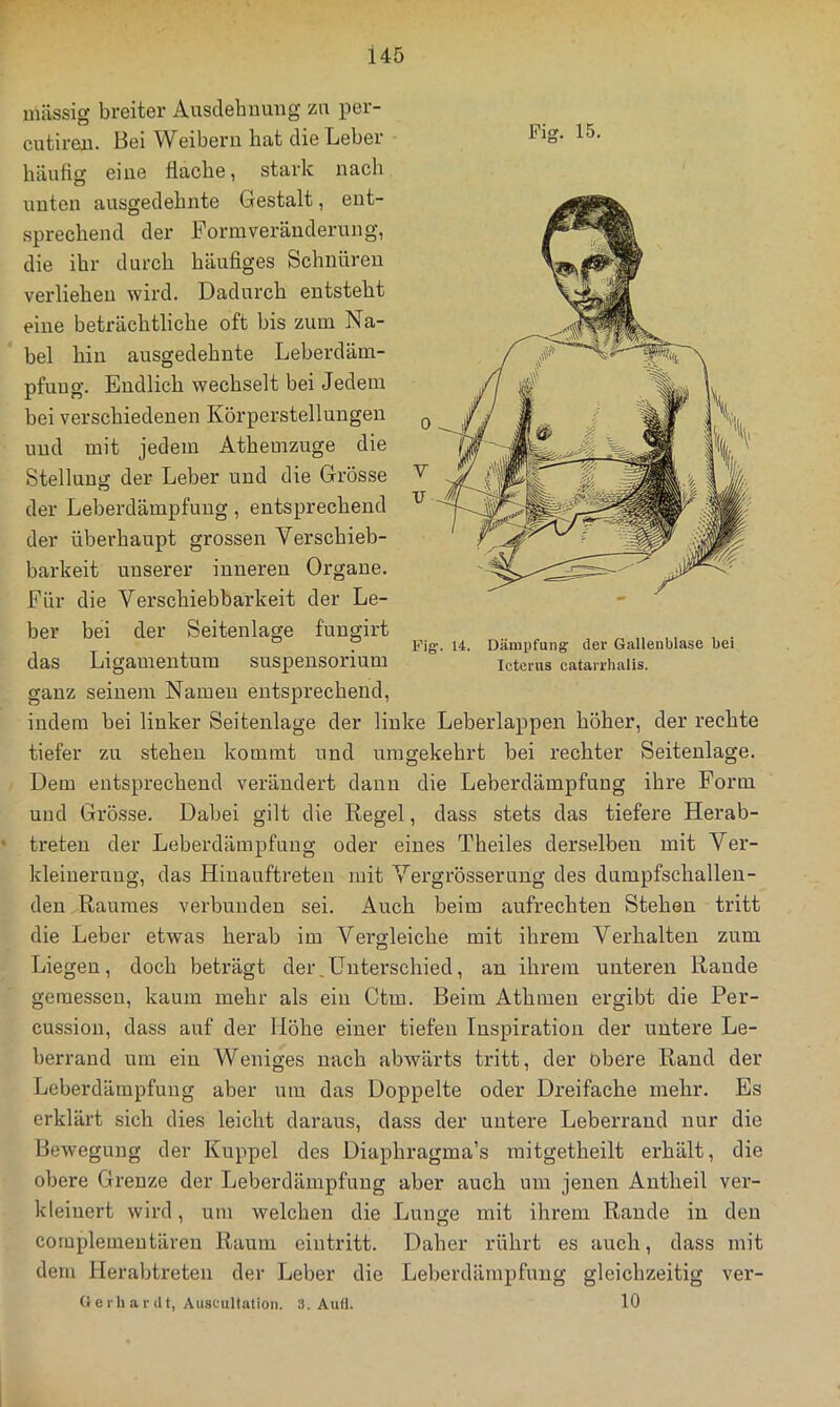 massig breiter Ausdehnung zu per- cutireai. Bei Weibern hat die Leber häufig eine flache, stark nach unten ausgedehnte Gestalt, ent- sprechend der Formveränderung, die ihr durch häuflges Schnüren verliehen wird. Dadurch entsteht eine beträchtliche oft bis zum Na- bel hin ausgedehnte Leberdäm- pfung. Endlich wechselt bei Jedem bei verschiedenen Körperstellungen und mit jedem Athemzuge die Stellung der Leber und die Grösse der Leberdämpfung, entsprechend der überhaupt grossen Verschieb- barkeit unserer inneren Organe. Für die Verschiebbarkeit der Le- ber bei der Seitenlage fuugirt das Ligamentum Suspensorium ganz seinem Namen entsprechend, indem bei linker Seitenlage der linke Leberlappen höher, der rechte tiefer zu stehen kommt und umgekehrt bei rechter Seitenlage. Dem entsprechend verändert dann die Leberdämpfung ihre Form und Grösse. Dabei gilt die Regel, dass stets das tiefere Herab- treten der Leberdämpfuug oder eines Theiles derselben mit Ver- kleinerung, das Hinauftreten mit Vergrösseruug des dumpfschalleu- den Raumes verbunden sei. Auch beim aufrechten Stehen tritt die Leber etwas herab im Vergleiche mit ihrem Verhalten zum Liegen, doch beträgt der,Unterschied, an ihrem unteren Rande gemessen, kaum mehr als ein Ctm. Beim Athmen ergibt die Per- cussion, dass auf der Höhe einer tiefen Inspiration der untere Le- berrand um ein Weniges nach abwärts tritt, der obere Rand der Leberdämpfung aber um das Doppelte oder Dreifache mehr. Es erklärt sich dies leicht daraus, dass der untere Leberrand nur die Bewegung der Kuppel des Diaphragma’s raitgetheilt ei'hält, die obere Grenze der Leberdämpfuug aber auch um jenen Autheil ver- kleinert wird, um welchen die Lunge mit ihrem Rande in den complemeutären Raum eintritt. Daher rührt es auch, dass mit dem Herabtreten der Leber die Leberdämpfung gleichzeitig ver- O e i-h a r (11, Auscultatioii. 3. Aufl. 10 Fis. 15. Fig. 14. Dämpfung der Gallenblase bei leterus catarrhalis.