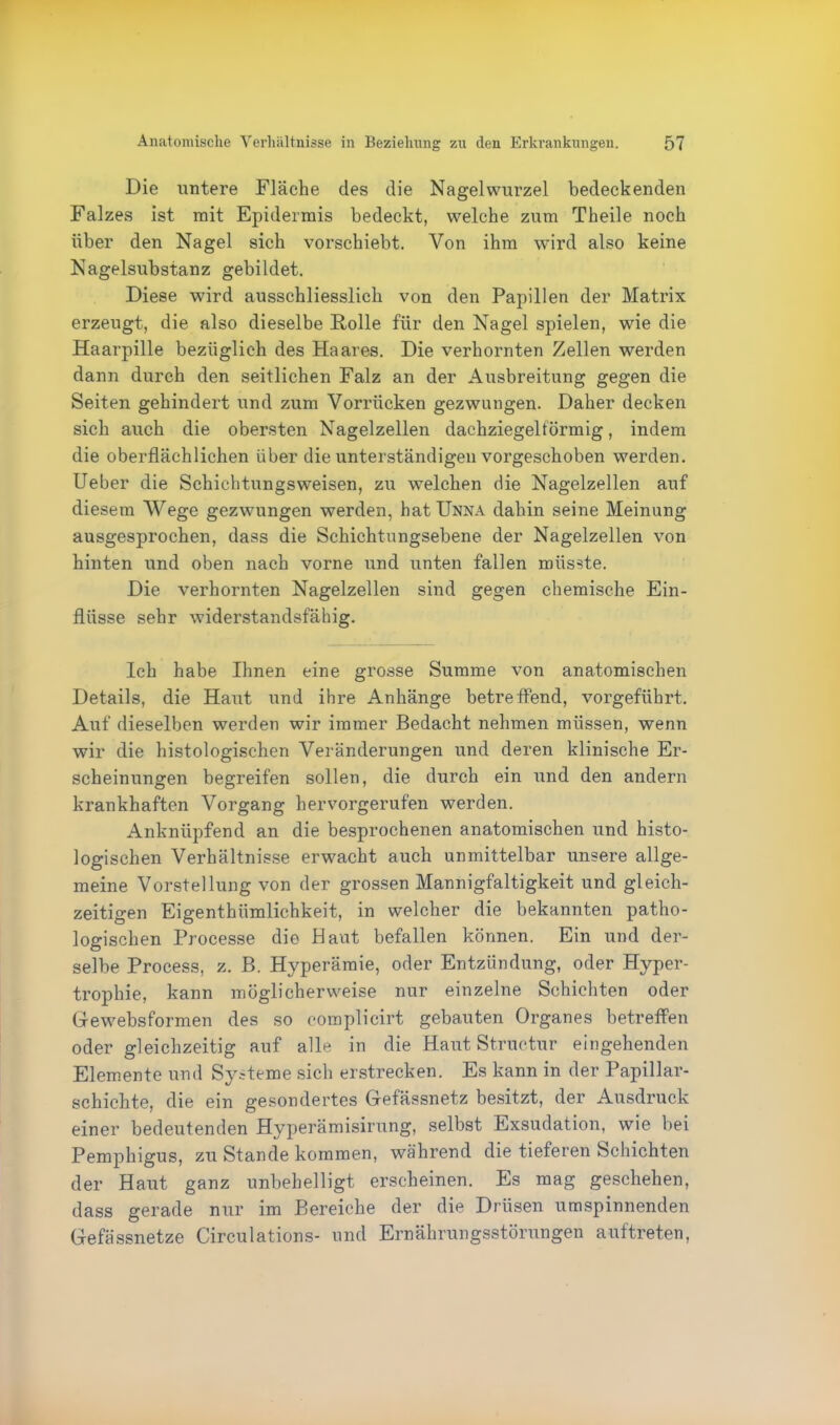 Die untere Fläche des die Nagelwurzel bedeckenden Falzes ist mit Epidermis bedeckt, welche zum Theile noch über den Nagel sich vorschiebt. Von ihm wird also keine Nagelsubstanz gebildet. Diese wird ausschliesslich von den Papillen der Matrix erzeugt, die also dieselbe Rolle für den Nagel spielen, wie die Haarpille bezüglich des Haares. Die verhornten Zellen werden dann durch den seitlichen Falz an der Ausbreitung gegen die Seiten gehindert und zum Vorrücken gezwungen. Daher decken sich auch die obersten Nagelzellen dachziegelförmig, indem die oberflächlichen über die unterständigen vorgeschoben werden. Ueber die Schichtungsweisen, zu welchen die Nagelzellen auf diesem Wege gezwungen werden, hat Unna dahin seine Meinung ausgesprochen, dass die Schichtungsebene der Nagelzellen von hinten und oben nach vorne und unten fallen müsste. Die verhornten Nagelzellen sind gegen chemische Ein- flüsse sehr widerstandsfähig. Ich habe Ihnen eine grosse Summe von anatomischen Details, die Haut und ihre Anhänge betreffend, vorgeführt. Auf dieselben werden wir immer Bedacht nehmen müssen, wenn wir die histologischen Veränderungen und deren klinische Er- scheinungen begreifen sollen, die durch ein und den andern krankhaften Vorgang hervorgerufen werden. Anknüpfend an die besprochenen anatomischen und histo- logischen Verhältnisse erwacht auch unmittelbar unsere allge- meine Vorstellung von der grossen Mannigfaltigkeit und gleich- zeitigen Eigenthümlichkeit, in welcher die bekannten patho- logischen Processe die Haut befallen können. Ein und der- selbe Process, z. B. Hyperämie, oder Entzündung, oder Hyper- trophie, kann möglicherweise nur einzelne Schichten oder Gewebsformen des so complicirt gebauten Organes betreffen oder gleichzeitig auf alle in die Haut Structur eingehenden Elemente und Systeme sich erstrecken. Es kann in der Papillar- schichte, die ein gesondertes Gefässnetz besitzt, der Ausdruck einer bedeutenden Hyperämisirung, selbst Exsudation, wie bei Pemphigus, zu Stande kommen, während die tieferen Schichten der Haut ganz unbehelligt erscheinen. Es mag geschehen, dass gerade nur im Bereiche der die Drüsen umspinnenden Gefässnetze Circulations- und Ernährungsstörungen auftreten,