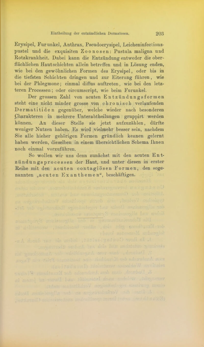 Erysipel, Furunkel, Anthrax, Pseudoerysipel, Leicheninfections- pustel und die exquisiten Zoonosen: Pustula maligna und Rotzkrankheit. Dabei kann die Entzündung entweder die ober- flächlichen Haut schichten allein betreffen und in Lösung enden, wie bei den gewöhnlichen Formen des Erysipel, oder bis in die tiefsten Schichten dringen und zur Eiterung führen , wie bei der Phlegmone; einmal diffus auftreten, wie bei den letz- teren Processen; oder circumscript, wie beim Furunkel. Der grossen Zahl von acuten Entzündungsformen steht eine nicht minder grosse von chronisch verlaufenden Dermatitiden gegenüber, welche wieder nach besonderen Charakteren in mehrere Unterabtheilungen gruppirt werden können. An dieser Stelle sie jetzt aufzuzählen, dürfte weniger Nutzen haben. Es wird vielmehr besser sein, nachdem Sie alle hieher gehörigen Formen gründlich kennen gelernt haben werden, dieselben in einem übersichtlichen Schema Ihnen noch einmal vorzuführen. So wollen wir uns denn zunächst mit den acuten Ent- zündungsprocessen der Haut, und unter diesen in erster Reihe mit den acuten contagiösen Formen, den soge- nannten „acuten Exanthemen“, beschäftigen. i