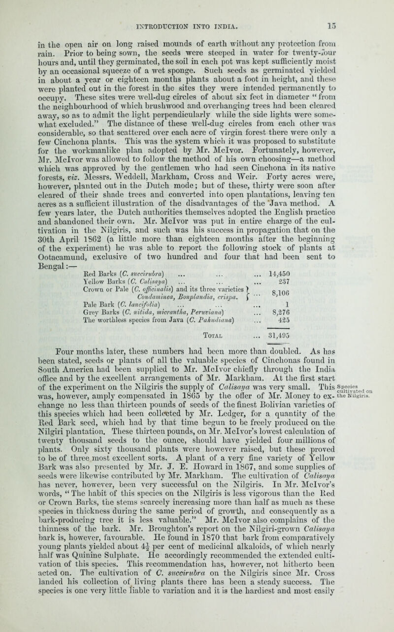 in the open air on long raised mounds of earth without any protection from rain. Prior to being sown, the seeds were steeped in water for twenty-four hours and, until they germinated, the soil in each pot was kept sufficiently moist by an occasional squeeze of a wet sponge. Such seeds as germinated yielded in about a year or eighteen months plants about a foot in height, and these were planted out in the forest in the sites they were intended permanently to occupy. These sites were well-dug circles of about six feet in diameter “ from the neighbourhood of which brushwood and overhanging trees had been cleared away, so as to admit the light perpendicularly while the side lights were some- what excluded.” The distance of these well-dug circles from each other was considerable, so that scattered over each acre of virgin forest there were only a few Cinchona plants. This wras the system which it w7as proposed to substitute for the workmanlike plan adopted by Mr. Mclvor. Fortunately, however, Mr. Mclvor was allowed to follow the method of his own choosing—a method which was approved by the gentlemen who had seen Cinchona in its native forests, viz. Messrs. Weddell, Markham, Cross and Weir. Forty acres were, however, planted out in the Dutch mode; but of these, thirty were soon after cleared of their shade trees and converted into open plantations, leaving ten acres as a sufficient illustration of the disadvantages of the Java method. A few years later, the Dutch authorities themselves adopted the English practice and abandoned their own. Mr. Mclvor was put in entire charge of the cul- tivation in the Nilgiris, and such was his success in propagation that on the 30th April 1862 (a little more than eighteen months after the beginning of the experiment) he was able to report the following stock of plants at Ootacamund, exclusive of two hundred and four that had been sent to Bengal:— Red Barks (C. succirubra) ... ... ... 14,450 Yellow Barks (C. Calisaya) ... ... ... 237 Crown or Pale (C. officinalis) and its three varieties ) g Condaminea, Bonjolandia, crista, f J Pale Bark (C.. lancifolia) ... ... ... 1 Grey Barks (C. nitida, micrantha, Peruviana) ... 8,276 The worthless species from Java (C. Pakudiana) ... 425 Total ... 31,495 Four months later, these numbers had been more than doubled. As has been stated, seeds or plants of all the valuable species of Cinchonas found in South America had been supplied to Mr. Mclvor chiefly through the India office and by the excellent arrangements of Mr. Markham. At the first start of the experiment on the Nilgiris the supply of Calisaya wras very small. This oi was, however, amply compensated in 1865 by the oSer of Mr. Money to ex- the Nilgiris. change no less than thirteen pounds of seeds of the finest Bolivian varieties of this species which had been collected by Mr. Ledger, for a quantity of the Bed Bark seed, which had by that time begun to be freely produced on the Nilgiri plantation. These thirteen pounds, on Mr. Mclvor’s lowest calculation of twenty thousand seeds to the ounce, should have yielded four millions of plants. Only sixty thousand plants were however raised, but these proved to be of three most excellent sorts, A plant of a very fine variety of Yellow Bark was also presented by Mr. J. E. Howard in 1867, and some supplies of seeds were likewise contributed by Mr. Markham. The cultivation of Calisaya has never, however, been very successful on the Nilgiris. In Mr. Mclvor’s words, “The habit of this species on the Nilgiris is less vigorous than the Bed or Crown Barks, the stems scarcely increasing more than half as much as these species in thickness during the same period of growth, and consequently as a bark-producing tree it is less valuable.” Mr. Mclvor also complains of the thinness of the bark. Mr. Broughton’s report on the Nilgiri-grown Calisaya bark is, however, favourable. He found in 1870 that bark from comparatively young plants yielded about 4| per cent of medicinal alkaloids, of which nearly half was Quinine Sulphate. He accordingly recommended the extended culti- vation of this species. This recommendation has, however, not hitherto been acted on. The cultivation of C. succirubra on the Nilgiris since Mr. Cross landed his collection of living plants there has been a steady success. The species is one very little liable to variation and it is the hardiest and most easily