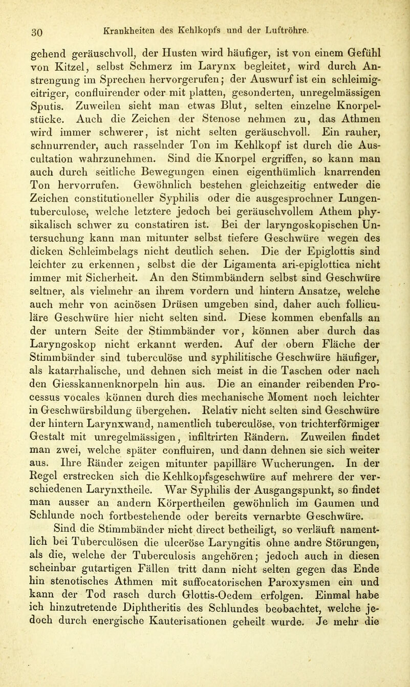 gehend geräuschvoll, der Husten wird häufiger, ist von einem Gefühl von Kitzel, selbst Schmerz im Larynx begleitet, wird durch An- strengung im Sprechen hervorgerufen; der Auswurf ist ein schleimig- eitriger, confluirender oder mit platten, gesonderten, unregelmässigen Sputis. Zuweilen sieht man etwas Blut, selten einzelne Knorpel- stücke. Auch die Zeichen der Stenose nehmen zu, das Athmen wird immer schwerer, ist nicht selten geräuschvoll. Ein rauher, schnurrender, auch rasselnder Ton im Kehlkopf ist durch die Aus- cultation wahrzunehmen. Sind die Knorpel ergriffen, so kann man auch durch seitliche Bewegungen einen eigenthümlich knarrenden Ton hervorrufen. Gewöhnlich bestehen gleichzeitig entweder die Zeichen constitutioneller Syphilis oder die ausgesprochner Lungen- tuberculose, welche letztere jedoch bei geräuschvollem Athem phy- sikalisch schwer zu constatiren ist. Bei der laryngoskopischen Un- tersuchung kann man mitunter selbst tiefere Geschwüre wegen des dicken Schleimbelags nicht deutlich sehen. Die der Epiglottis sind leichter zu erkennen, selbst die der Ligamenta ari-epiglottica nicht immer mit Sicherheit. An den Stimmbändern selbst sind Geschwüre seltner, als vielmehr an ihrem vordem und hintern Ansätze, welche auch mehr von acinösen Drüsen umgeben sind, daher auch follicu- läre Geschwüre hier nicht selten sind. Diese kommen ebenfalls an der untern Seite der Stimmbänder vor, können aber durch das Laryngoskop nicht erkannt werden. Auf der obern Fläche der Stimmbänder sind tuberculöse und syphilitische Geschwüre häufiger, als katarrhalische, und dehnen sich meist in die Taschen oder nach den Giesskannenknorpeln hin aus. Die an einander reibenden Pro- cessus vocales können durch dies mechanische Moment noch leichter in Geschwürsbildung übergehen. Relativ nicht selten sind Geschwüre der hintern Larynxwand, namentlich tuberculöse, von trichterförmiger Gestalt mit unregelmässigen, infiltrirten Rändern. Zuweilen findet man zwei, welche später confluiren, und dann dehnen sie sich weiter aus. Ihre Ränder zeigen mitunter papilläre Wucherungen. In der Regel erstrecken sich die Kehlkopfsgeschwüre auf mehrere der ver- schiedenen Larynxtheile. War Syphilis der Ausgangspunkt, so findet man ausser an andern Körpertheilen gewöhnlich im Gaumen und Schlunde noch fortbestehende oder bereits vernarbte Geschwüre. Sind die Stimmbänder nicht direct betheiligt, so verläuft nament- lich bei Tuberculösen die ulceröse Laryngitis ohne andre Störungen, als die, welche der Tuberculosis angehören; jedoch auch in diesen scheinbar gutartigen Fällen tritt dann nicht selten gegen das Ende hin stenotisches Athmen mit suffocatorischen Paroxysmen ein und kann der Tod rasch durch Glottis-Oedem erfolgen. Einmal habe ich hinzutretende Diphtheritis des Schlundes beobachtet, welche je- doch durch energische Kauterisationen geheilt wurde. Je mehr die