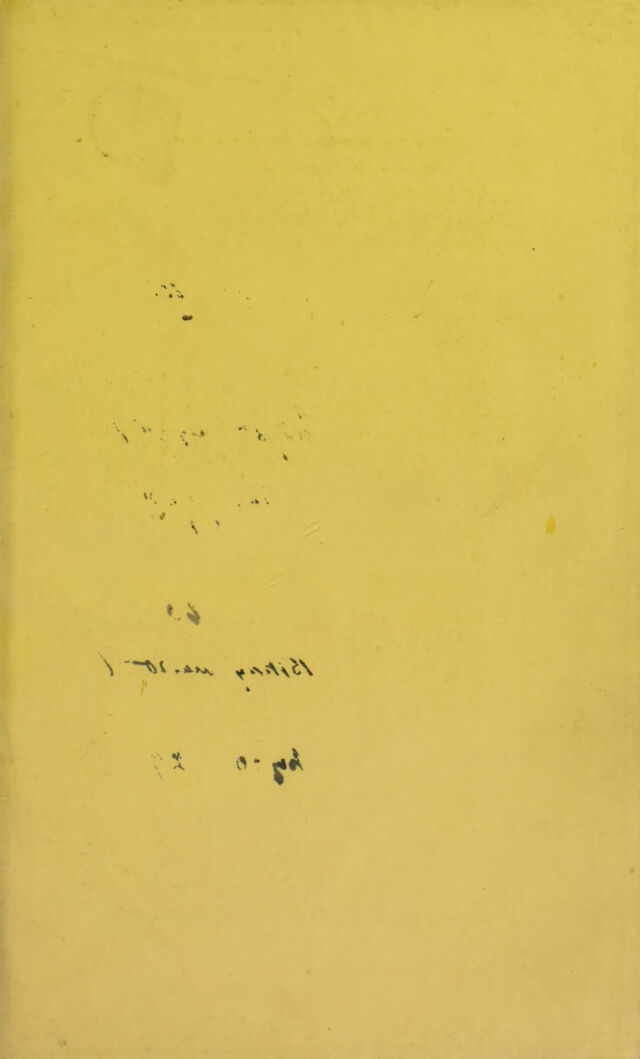 digitised image 3