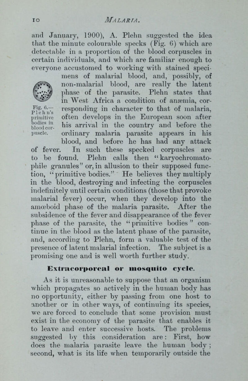and January, 1900), A. Plehn suggested the idea that the minute colourable specks (Fig. 6) which are detectable in a proportion of the blood corpuscles in certain individuals, and which are familiar enough to everyone accustomed to working with stained speci- mens of malarial blood, and, possibly, of non-malarial blood, are really the latent Iphase of the parasite. Plehn states that in West Africa a condition of anaemia, cor- pieifivs responding in character to that of malaria, primitive often develops in the European soon after bioocicor- arrival in the country and before the puscie. ordinary malaria parasite appears in his blood, and before he has had any attack of fever. In such these specked corpuscles are to be found. Plehn calls then “ karyochromato- phile granules ” or, in allusion to their supposed func- tion, “ primitive bodies.” ' He believes they multiply in the blood, destroying and infecting the corpuscles indefinitely until certain conditions (those that provoke malarial fever) occur, when they develop into the amoeboid phase of the malaria parasite. After the subsidence of the fever and disappearance of the fever phase of the parasite, the “ primitive bodies ” con- tinue in the blood as the latent phase of the parasite, and, according to Plehn, form a valuable test of the presence of latent malarial infection. The subject is a promising one and is well worth further study. Extracorporeal or mosquito cycle. As it is unreasonable to suppose that an organism which propagates so actively in the human body has no opportunity, either by passing from one host to another or in other ways, of continuing its species, we are forced to conclude that some provision must exist in the economy of the parasite that enables it to leave and enter successive hosts. The problems suggested by this consideration are: First, how does the malaria parasite leave the human body ; second, what is its life when temporarily outside the