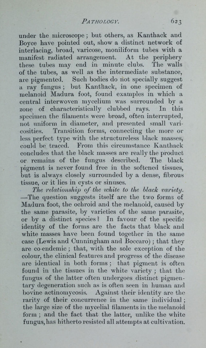 under the microscope; but others, as Kanthack and Boyce have pointed out, show a distinct network of interlacing, broad, varicose, moniliform tubes with a manifest radiated arrangement. At the periphery these tubes may end in minute clubs. The walls of the tubes, as well as the intermediate substance, are pigmented. Such bodies do not specially suggest a ray fungus ; but Kanthack, in one specimen of melanoid Madura foot, found examples in which a central interwoven mycelium was surrounded by a zone of characteristically clubbed rays. In this specimen the filaments were broad, often interrupted, not uniform in diameter, and presented small vari- cosities. Transition forms, connecting the more or less perfect type with the structureless black masses, could be traced. From this circumstance Kanthack concludes that the black masses are really the product or remains of the fungus described. The black pigment is never found free in the softened tissues, but is always closely surrounded by a dense, fibrous tissue, or it lies in cysts or sinuses. The relationship of the white to the black variety. —The question suggests itself are the two forms of Madura foot, the ochroid and the melanoid, caused by the same parasite, by varieties of the same parasite, or by a distinct species'? In favour of the specific identity of the forms are the facts that black and white masses have been found together in the same case (Lewis and Cunningham and Boccaro); that they are co-endemic; that, with the sole exception of the colour, the clinical features and progress of the disease are identical in both forms ; that pigment is often found in the tissues in the white variety ; that the fungus of the latter often undergoes distinct pigmen- tary degeneration such as is often seen in human and bovine actinomycosis. Against their identity are the rarity of their concurrence in the same individual; the large size of the mycelial filaments in the melanoid form ; and the fact that the latter, unlike the white fungus, has hitherto resisted all attempts at cultivation.