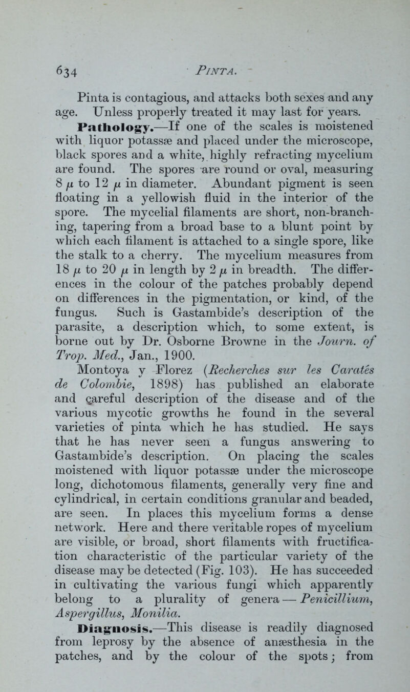 Pinta is contagious, and attacks both sexes and any age. Unless properly treated it may last for years. Pathology.—If one of the scales is moistened with liquor potassse and placed under the microscope, black spores and a white, highly refracting mycelium are found. The spores are round or oval, measuring 8 f.i to 12 fji in diameter. Abundant pigment is seen floating in a yellowish fluid in the interior of the spore. The mycelial filaments are short, non-branch- ing, tapering from a broad base to a blunt point by which each filament is attached to a single spore, like the stalk to a cherry. The mycelium measures from 18 fx to 20 fx in length by 2 p in breadth. The differ- ences in the colour of the patches probably depend on differences in the pigmentation, or kind, of the fungus. Such is Gastambide’s description of the parasite, a description which, to some extent, is borne out by Dr. Osborne Browne in the Journ. of Trop. Med., Jan., 1900. Montoya y Florez (Recherches sur les Carcctes de Golombie, 1898) has published an elaborate and careful description of the disease and of the various mycotic growths he found in the several varieties of pinta which he has studied. He says that he has never seen a fungus answering to Gastambide’s description. On placing the scales moistened with liquor potassae under the microscope long, dichotomous filaments, generally very fine and cylindrical, in certain conditions granular and beaded, are seen. In places this mycelium forms a dense network. Here and there veritable ropes of mycelium are visible, or broad, short filaments with fructifica- tion characteristic of the particular variety of the disease maybe detected (Fig. 103). He has succeeded in cultivating the various fungi which apparently belong to a plurality of genera — Penicillium, Aspergillus, Monilia. Diagnosis.—This disease is readily diagnosed from leprosy by the absence of anaesthesia in the patches, and by the colour of the spots; from