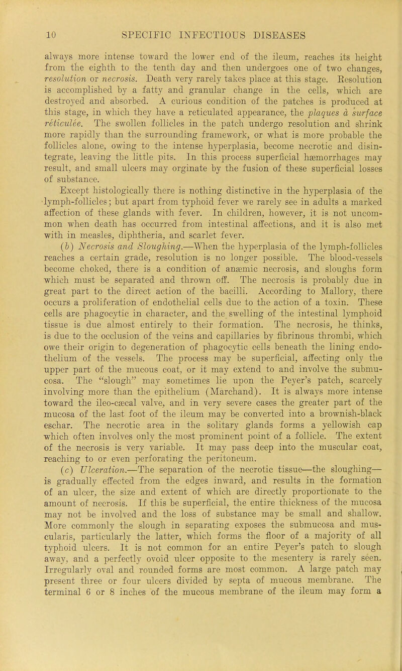 always more intense toward the lower end of the ileum, reaches its height from the eighth to the tenth day and then undergoes one of two changes, resolution or necrosis. Death very rarely takes place at this stage. Kesolution is accomplished by a fatty and granular change in the cells, which are destroyed and absorbed. A curious condition of the patches is produced at this stage, in which they have a reticulated ajjpearance, the plaques a surface reticulee. The swollen follicles in the patch undergo resolution and shrink more rapidly than the surrounding framework, or what is more probable the follicles alone, owing to the intense hyperplasia, become necrotic and disin- tegrate, leaving the little pits. In this process superficial hEemorrhages may result, and small ulcers may orginate by the fusion of these superficial losses of substance. Except histologically there is nothing distinctive in the hyperplasia of the lymph-follicles; but apart from typhoid fever we rarely see in adults a marked affection of these glands with fever. In children, however, it is not uncom- mon when death has occurred from intestinal affections, and it is also met with in measles, diphtheria, and scarlet fever. (h) Necrosis and Sloughing.—WTien the hyperplasia of the lymph-follicles reaches a certain grade, resolution is no longer possible. The blood-vessels become choked, there is a condition of aneemic necrosis, and sloughs form which must be separated and thrown off. The necrosis is probably due in great part to the direct action of the bacilli. According to Mallor}'-, there occurs a proliferation of endothelial cells due to the action of a toxin. These cells are phagocytic in character, and the swelling of the intestinal hunphoid tissue is due almost entirely to their formation. The necrosis, he thinks, is due to the occlusion of the veins and capillaries by fibrinous thrombi, wdiich owe their origin to degeneration of phagoc3dic cells beneath the lining endo- thelium of the vessels. The process may be superficial, affecting only the upper part of the mucous coat, or it may extend to and involve the submu- cosa. The “slough” may sometimes lie upon the Pe}’er’s patch, scarcely involving more than the epithelium (Marchand). It is always more intense toward the ileo-c£ecal valve, and in very severe cases the greater part of the mucosa of the last foot of the ileum may be converted into a brownish-black eschar. The necrotic area in the solitary glands forms a yellowish cap which often involves only the most prominent point of a follicle. The extent of the necrosis is very variable. It may pass deep into the muscular coat, reaching to or even perforating the peritoneum. (c) Ulceration.—The separation of the necrotic tissue—the sloughing— is gradually effected from the edges inward, and results in the formation of an ulcer, the size and extent of which are directly proportionate to the amount of necrosis. If this be superficial, the entire thickness of the mucosa may not be involved and the loss of substance may be small and shallow. More commonly the slough in separating exposes the submucosa and mus- cularis, particularly the latter, which forms the floor of a majority of all typhoid ulcers. It is not common for an entire Peyer’s patch to slough away, and a perfectly ovoid ulcer opposite to the mesentery is rarely seen. Irregularly oval and rounded forms are most common. A large patch may present three or four ulcers divided by septa of mucous membrane. The terminal 6 or 8 inches of the mucous membrane of the ileum may form a