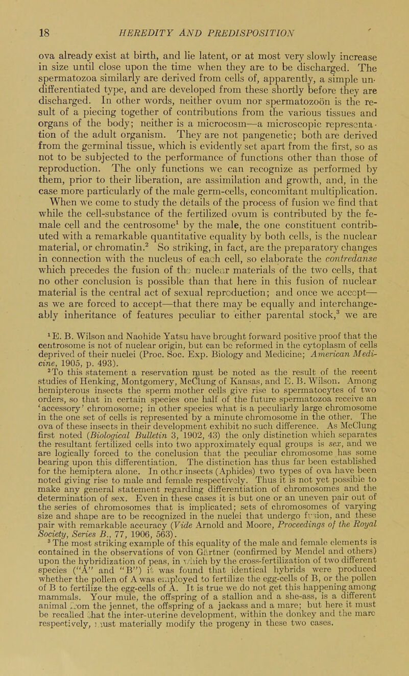 ova already exist at birth, and lie latent, or at most very slowly increase in size until close upon the time when they are to be discharged. The spermatozoa similarly are derived from cells of, apparently, a simple un- differentiated type, and are developed from these shortly before they are discharged. In other words, neither ovum nor spermatozoon is the re- sult of a piecing together of contributions from the various tissues and organs of the body; neither is a microcosm—a microscopic representa- tion of the adult organism. They are not pangenetic; both are derived from the germinal tissue, which is evidently set apart from the first, so as not to be subjected to the performance of functions other than those of reproduction. The only functions we can recognize as performed by them, prior to their liberation, are assimilation and growth, and, in the case more particularly of the male germ-cells, concomitant multiplication. When we come to study the details of the process of fusion we find that while the cell-substance of the fertilized ovum is contributed by the fe- male cell and the centrosome^ by the male, the one constituent contrib- uted with a remarkable quantitative equality by both cells, is the nuclear material, or chromatin.^ So striking, in fact, are the preparatory changes in connection with the nucleus of each cell, so elaborate the contredanse which precedes the fusion of the nuclear materials of the two cells, that no other conclusion is possible than that here in this fusion of nuclear material is the central act of sexual reproduction; and once we accept— as we are forced to accept—that there may be equally and interchange- ably inheritance of features peculiar to either parental stock,® we are ' E. B. Wilson and Naohide Yatsu have brought forward positive proof that tlie centrosome is not of nuclear origin, but can be reformed in the cytoplasm of cells deprived of their nuclei (Proc. Soc. Exp. Biology and Medicine; American Medi- cine, 1905, ID. 493). ^To this statement a reservation must be noted as the result of the recent studies of Henking, Montgomery, McClung of Kansas, and E. B. Wilson. Among hemipterous insects the sperm mother cells give rise to spermatocytes of two orders, so that in certain species one half of the future spennatozoa receive an ‘accessory’ chromosome; in other species what is a peculiarly large chromosome in the one set of cells is represented by a minute chromosome in the other. The ova of these insects in their development exhibit no such difference. As McClung first noted {Biological Bulletin 3, 1902, 43) the only distinction which separates the resultant fertilized cells into two approximately equal groups is sex, and we are logically forced to the conclusion that the peculiar chromosome has some bearing upon this differentiation. The distinction has thus far been established for the hemiptera alone. In other insects (Aphides) two types of ova have been noted giving rise to male and female respectively. Thus it is not yet possible to make any general statement regarding differentiation of chromosomes and the determination of sex. Even in these cases it is but one or an uneven pair out of the series of chromosomes that is implicated; sets of chromosomes of varying size and shape are to be recognized in the nuclei that undergo fusion, and these pair with remarkable accuracy (Vide Arnold and Moore, Proceedings of the Royal Society, Series B., 77, 190G, 563). ^ The most striking example of this equality of the male and female elements is contained in the observations of von Giirtner (confirmed by Mendel and others) upon the hybridization of peas, in i/Iiich by the cros.s-fertilization of two different species (“A” and “B”) it was found that identical hybrids were produced whether the pollen of A was employed to fertilize the egg-celLs of B, or the pollen of B to fertilize the egg-cells of A. It is true we do not get this happening among mammals. Your mule, the offspring of a stallion and a she-ass, is a different animal mom the jennet, the offspring of a jackass and a mare; but here it must be recalled ohat the inter-uterine development, within the donkey and the marc respectively, 3 '.ust materially modify the progeny in these two cases.