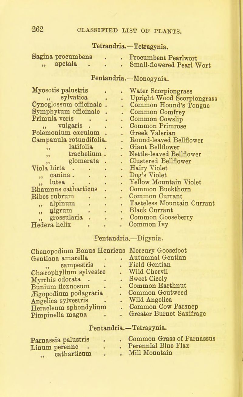 Tetrandria.—Tetragy nia. Sagina procumbens . . Procumbent Pearl wort ti apetala . . . Small-flowered Pearl Wort Pentandria.—Monogynia. Myosotis palustris ,, sylvatica Cynoglossum officinale Symphytum officinale Primula veris „ vulgaris . Polemonium cserulum Campanula rotundifolia ,, latifolia ,, trachelium ,, glomerata Viola hirta . „ canina. „ lutea . Rhamnus cathartious Ribes rubrum „ alpinum „ oigrum „ grossularia . Hedera helix Water Scorpiongrass Upright Wood Scorpiongrass Common Hound’s Tongue Common Comfrey Common Cowslip Common Primrose Greek Valerian Round-leaved Bellflower Giant Bellflower Nettle-leaved Bellflower Clustered Bellflower Hairy Violet Dog’s Violet Yellow Mountain Violet Common Buckthorn Common Currant Tasteless Mountain Currant Black Currant Common Gooseberry Common Ivy Pentandria.—Digynia. Chenopodium Bonus Henricus Gentiana amarella „ campestris Chserophyllum sylvestre Myrrhis odorata Bunium flexuosum ^Egopodium podagraria Angelica sylvestris Heracleum sphondylium Pimpinella magna Mercury Goosefoot Autumnal Gentian Field Gentian Wild Chervil Sweet Cicely Common Earthnut Common Goutweed Wild Angelica Common Cow Parsnep Greater Burnet Saxifrage Pen tandria. —- Tetr agynia. Parnassia paluBtris . . Common Grass of Parnassus Linum perenne . . . Perennial Blue Flax catharticum . . Mill Mountain