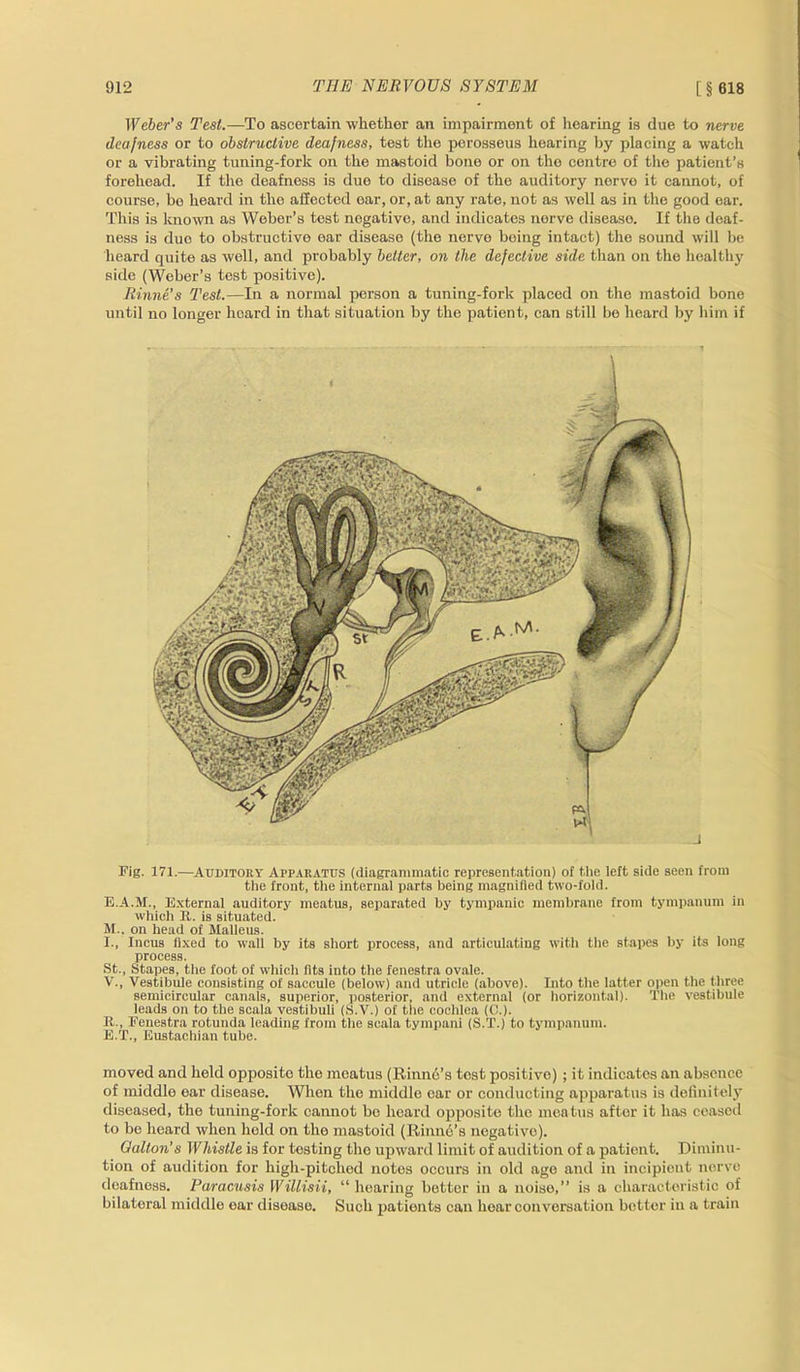 Weber's Test.—To ascertain whether an impairment of hearing is due to nerve deafness or to obstructive deafness, test the porosseus hearing by placing a watch or a vibrating tuning-fork on the mastoid bone or on the centre of the patient’s forehead. If the deafness is due to disease of the auditory norvo it cannot, of course, be heard in the affected ear, or, at any rate, not as well as in the good ear. This is known as Weber’s test negative, and indicates nerve disease. If the deaf- ness is duo to obstructive oar disease (the nerve boing intact) the sound will be heard quite as well, and probably better, on the defective side than on the healthy side (Weber’s test positive). Rhine's Test.—In a normal person a tuning-fork placed on the mastoid bone until no longer heard in that situation by the patient, can still be heard by him if Fig. 171.—Auditory Apparatus (diagrammatic representation) of the left side seen from the front, tiie internal parts being magnified two-fold. E.A.M., External auditory meatus, separated by tympanic membrane from tympanum in which R. is situated. M.. on head of Malleus. I., Incus fixed to wall by its short process, and articulating with the stapes by its long process. St., Stapes, the foot of which fits into the fenestra ovale. V., Vestibule consisting of saccule (below) and utricle (above). Into the latter open the three semicircular canals, superior, posterior, and external (or horizontal). The vestibule leads on to the scala vestibuU (S.V.) of the cochlea (C.). R , Fenestra rotunda leading from the scala tympani (S.T.) to tympanum. E.T., Eustachian tube. moved and held opposite the meatus (Rinnd’s tost positive) ; it indicates an absence of middle ear disease. When the middle ear or conducting apparatus is definitely diseased, the tuning-fork cannot be heard opposite the meatus after it has ceased to bo heard when hold on the mastoid (Rinnd’s negative). Gallon's Whistle is for testing the upward limit of audition of a patient. Diminu- tion of audition for high-pitched notes occurs in old age and in incipient nerve deafness. Paracusis Willisii, “ hearing bettor in a noise,” is a characteristic of bilateral middle oar diseaso. Such patients can hear conversation better in a train