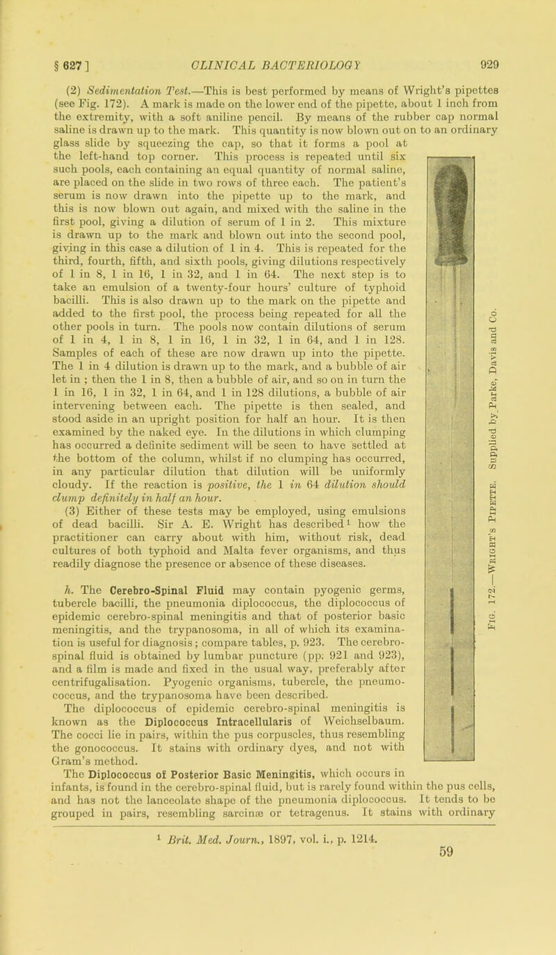 (2) Sedimentation Test.—This is best performed by means of Wright’s pipettes (see Fig. 172). A mark is made on the lower end of the pipette, about 1 inch from the extremity, with a soft aniline pencil. By means of the rubber cap normal saline is drawn up to the mark. This quantity is now blown out on to an ordinary glass slide by squeezing the cap, so that it forms a pool at the left-hand top corner. This process is repeated until six such pools, each containing an equal quantity of normal saline, are placed on the slide in two rows of threo each. The patient’s serum is now drawn into the pipette up to the mark, and this is now blown out again, and mixed with the saline in the first pool, giving a dilution of serum of 1 in 2. This mixture is drawn up to the mark and blown out into the second pool, giving in this case a dilution of 1 in 4. This is repeated for the third, fourth, fifth, and sixth pools, giving dilutions respectively of 1 in 8, 1 in 16, 1 in 32, and 1 in 64. The next step is to take an emulsion of a twenty-four hours’ culture of typhoid bacilli. This is also drawn up to the mark on the pipette and added to the first pool, the process being repeated for all the other pools in turn. The pools now contain dilutions of serum of 1 in 4, 1 in 8, 1 in 16, 1 in 32, 1 in 64, and 1 in 128. Samples of each of these are now drawn up into the pipette. The 1 in 4 dilution is drawn up to the mark, and a bubble of air let in ; then the 1 in 8, then a bubble of air, and so on in turn the 1 in 16, 1 in 32, 1 in 64, and 1 in 128 dilutions, a bubble of air intervening between each. The pipette is then sealed, and stood aside in an upright position for half an hour. It is then examined by the naked eye. In the dilutions in which clumping has occurred a definite sediment will be seen to have settled at the bottom of the column, whilst if no clumping has occurred, in any particular dilution that dilution will be uniformly cloudy. If the reaction is positive, the 1 in 64 dilution should clump definitely in half an hour. (3) Either of these tests may be employed, using emulsions of dead bacilli. Sir A. E. Wright has described1 how the practitioner can carry about with him, without risk, dead cultures of both typhoid and Malta fever organisms, and thus readily diagnose the presence or absence of these diseases. Es h. The Cerebro-Spinal Fluid may contain pyogenic germs, tubercle bacilli, the pneumonia diplococcus, the diplococcus of epidemic cerebro-spinal meningitis and that of posterior basic meningitis, and the trypanosoma, in all of which its examina- tion is useful for diagnosis ; compare tables, p. 923. The cerebro- spinal fluid is obtained by lumbar puncture (pp; 921 and 923), and a film is made and fixed in the usual way, preferably after centrifugalisation. Pyogenic organisms, tubercle, the pneumo- coccus, and the trypanosoma have been described. The diplococcus of epidemic cerebro-spinal meningitis is known as the Diplococcus Intracellularis of Weichselbaum. The cocci lie in pairs, within the pus corpuscles, thus resembling the gonococcus. It stains with ordinary dyes, and not with Gram’s method. The Diplococcus of Posterior Basic Meningitis, which occurs in infants, is found in the cerebro-spinal fluid, but is rarely found within the pus cells, and has not the lanceolate shape of the pneumonia diplococcus. It tends to be grouped in pairs, resembling sarcinso or tetragenus. It stains with ordinary Brit. Med. Journ., 1897, vol. i., p. 1214. 59