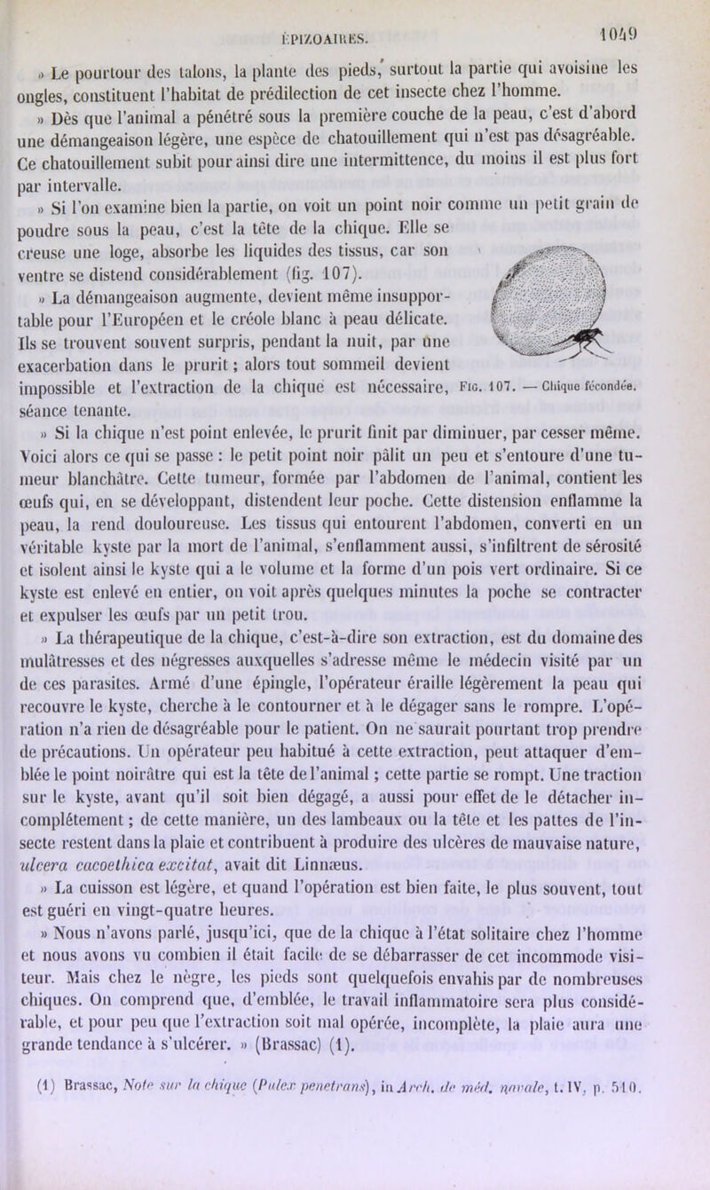 I.PIZ0À1KES. 1060 •> Le pourtour des talons, la plante des pieds, surtout la partie qui avoisine les ongles, constituent l’habitat de prédilection de cet insecte chez l’homme. » Dès que l’animal a pénétré sous la première couche de la peau, c’est d’abord une démangeaison légère, une espèce de chatouillement qui n’est pas désagréable. Ce chatouillement subit pour ainsi dire une intermittence, du moins il est plus fort par intervalle. » Si l’on examine bien la partie, on voit un point noir comme un petit grain de poudre sous la peau, c’est la tète de la chique. Elle se creuse une loge, absorbe les liquides des tissus, car son ventre se distend considérablement (lig. 107). » La démangeaison augmente, devient même insuppor- table pour l’Européen et le créole blanc à peau délicate, lisse trouvent souvent surpris, pendant la nuit, par une exacerbation dans le prurit ; alors tout sommeil devient impossible et l’extraction de la chique est nécessaire, Fig. 107. — cinquo fécondée, séance tenante. » Si la chique n’est point enlevée, le prurit finit par diminuer, par cesser même. Voici alors ce qui se passe : le petit point noir pâlit un peu et s’entoure d’une tu- meur blanchâtre. Celte tumeur, formée par l’abdomen de l’animal, contient les œufs qui, en se développant, distendent leur poche. Cette distension enflamme la peau, la rend douloureuse. Les tissus qui entourent l’abdomen, converti en un véritable kyste par la mort de l’animal, s’enflamment aussi, s’infiltrent de sérosité et isolent ainsi le kyste qui a le volume et la forme d’un pois vert ordinaire. Si ce kyste est enlevé en entier, on voit après quelques minutes la poche se contracter et expulser les œufs par un petit trou. » La thérapeutique de la chique, c’est-à-dire son extraction, est du domaine des mulâtresses et des négresses auxquelles s’adresse même le médecin visité par un de ces parasites. Armé d’une épingle, l’opérateur éraillé légèrement la peau qui recouvre le kyste, cherche à le contourner et à le dégager sans le rompre. L’opé- ration n’a rien de désagréable pour le patient. On ne saurait pourtant trop prendre de précautions. Un opérateur peu habitué à cette extraction, peut attaquer d’em- blée le point noirâtre qui est la tête de l’animal ; cette partie se rompt. Une traction sur le kyste, avant qu’il soit bien dégagé, a aussi pour effet de le détacher in- complètement ; de celte manière, un des lambeaux ou la tête et les pattes de l’in- secte restent dans la plaie et contribuent à produire des ulcères de mauvaise nature, ulcéra cucoelhica excitât, avait dit Linnæus. » La cuisson est légère, et quand l’opération est bien faite, le plus souvent, tout est guéri en vingt-quatre heures. » Nous n’avons parlé, jusqu’ici, que de la chique à l’état solitaire chez l’homme et nous avons vu combien il était facile de se débarrasser de cet incommode visi- teur. Mais chez le nègre, les pieds sont quelquefois envahis par de nombreuses chiques. On comprend que, d’emblée, le travail inflammatoire sera plus considé- rable, et pour peu (pie l’extraction soit mal opérée, incomplète, la plaie aura une grande tendance à s'ulcérer. » (Brassac) (1). (1) Brassac, Noir sur la chique (Putex pénétrons), inArrh. tir méd. navale, t. IV, p. 510.