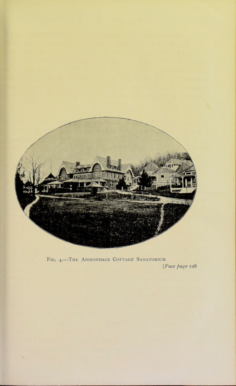 Fig. 4.—The Adirondack Cottage Sanatorium [Face page 128