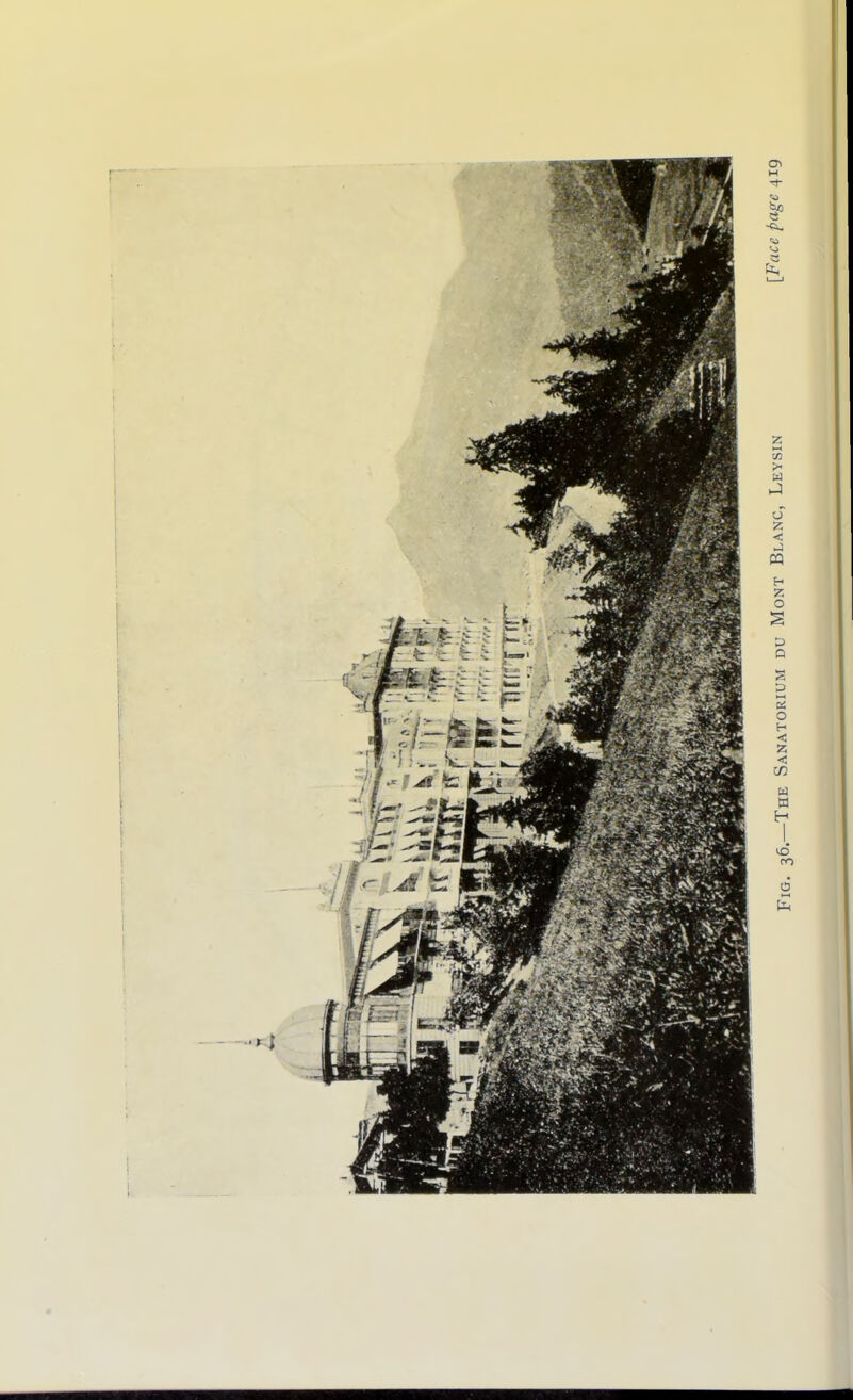 pIG> 26. The Sanatorium du Mont Blanc, Leysin [Face page 419