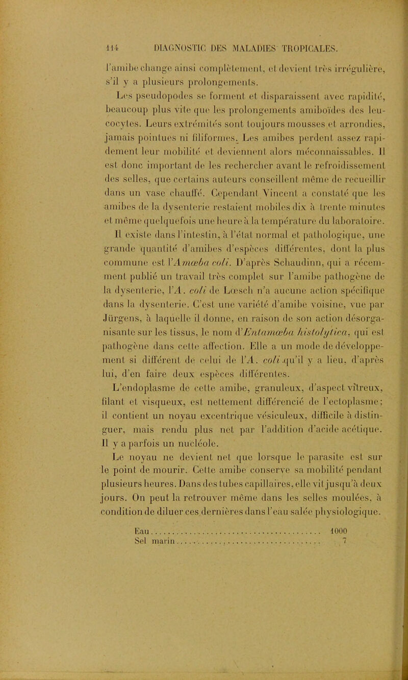 s’il y a plusieurs prolongements. Les pseudopodes se forment et disparaissent avec rapidité, beaucoup plus vite que les prolongements arnibo'ides des leu- cocytes. Leurs extrémités sont toujours mousses et arrondies, jamais pointues ni filiformes^ Les amibes perdent assez rapi- dement leur mobilité et deviennent alors méconnaissables. 11 est donc important de les rechercher avant le refroidissement des selles, que certains auteurs conseillent même de recueillir dans un vase chauffé. Cene.nda.nl Vincent a constaté, nue les xi uaioic mina j murs nu, ci i cuti nui mai ci |j(iuiuiu^u|uc. uiil* grande quantité d’amibes d’espèces différentes, dont la plus commune est l’Amœba roli. D’après Schaudinn, qui a récem- ment publié un travail très complet sur l’amibe pathogène de la dysenterie, VA. colt de Loesch n’a aucune action spécifique Jürgcns, à laquelle il donne, en raison de son action désorga- nisante sur les tissus, le nom d’Entamœba histoly'tica, qui est pathogène dans cette affection. Elle a un mode de développe- ment si différent de celui de VA. coli.qu’il y a lieu, d'après lui, d'en faire deux espèces différentes. L’endoplasme de cette amibe, granuleux, d’aspect vitreux, filant et visqueux, est nettement différencié de l’ectoplasme: il contient un noyau excentrique vésiculeux, difficile à distin- guer, mais rendu plus net par l’addition d’acide acétique. 11 y a parfois un nucléole. Le noyau ne devient net que lorsque le parasite est sur le point de mourir. Cette amibe conserve sa mobilité pendant plusieurs heures. Dans des tubes capillaires, elle vit jusqu’il deux jours. On peut la retrouver même dans les selles moulées, à condition de diluer ces dernières dans l’eau salée physiologique. Eau 1000 Sel marin 7