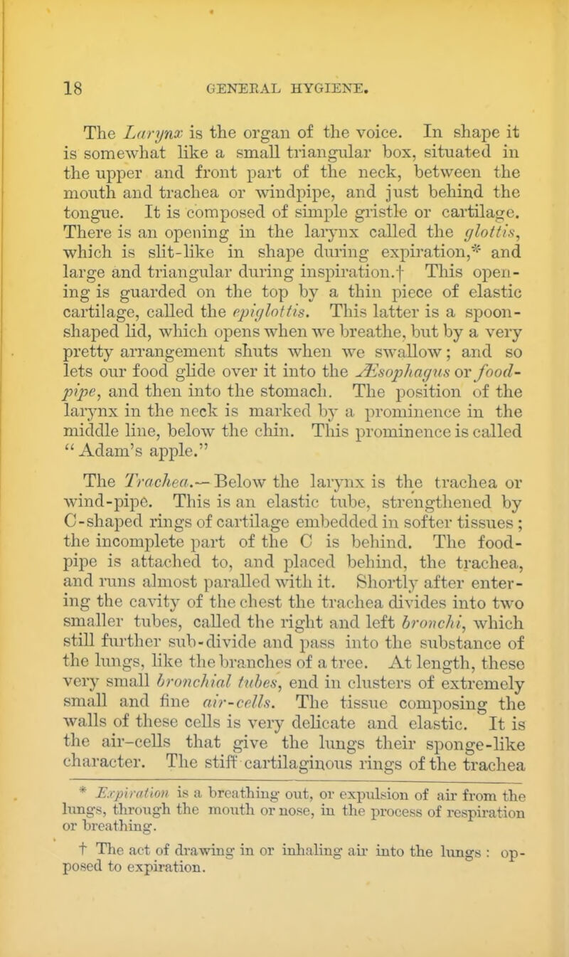 The Larynx is the organ of the voice. In shape it is somewhat like a small triangular box, situated in the upper and front part of the neck, between the mouth and trachea or Avindpipe, and just behind the tongue. It is composed of simple gristle or cartilage. There is an opening in the larynx called the glottis, which is slit-like in shape during expiration,'^' and large and triangular during inspiration.! This open- ing is guarded on the top by a thin piece of elastic cartilage, called the epiglottis. This latter is a spoon- shaped lid, which opens when we breathe, but by a very pretty arrangement shuts when we swallow; and so lets our food glide over it into the Esophagus or food- pipe, and then into the stomach. The position of the larynx in the neck is marked by a prominence in the middle line, below the chin. This prominence is called Adam’s apple.” The Trachea.-^ Below the larynx is the trachea or wind-pipe. This is an elastic tube, strengthened by C-shaped rings of cartilage embedded in softer tissues ; the incomplete part of the C is behind. The food- pipe is attached to, and placed behind, the trachea, and runs almost paraUed with it. Shortly after enter- ing the cavity of the chest the trachea divides into two smaller tubes, called the right and left bronchi, which still further sub-divide and pass into the substance of the lungs, like the branches of a tree. At length, these very small bronchial tubes, end in clusters of extremely small and fine air-cells. The tissue composing the walls of these cells is very delicate and elastic. It is the air-cells that give the lungs their sponge-like character. The stiff cartilaginous rings of the trachea * Expiration is a breathiug out, or expulsion of air from the hmgs, through the mouth or uo.se, in the process of rc.spiration or breathing. t Tlie act of drawing in or inhaling ah into the hmgs : op- posed to expiration.