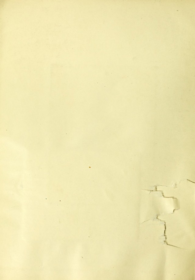 digitised image 2