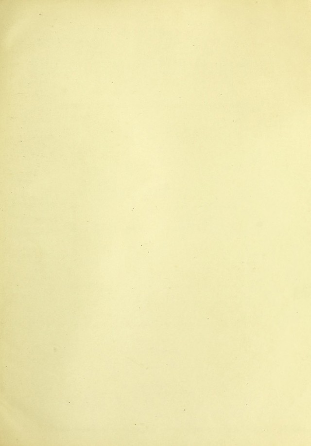 digitised image 3