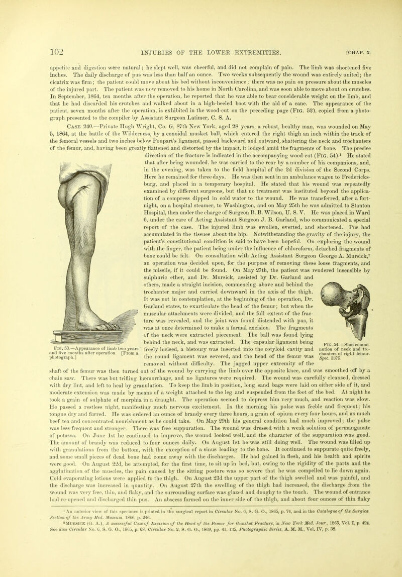 appetite and digestion were natural; he slept well, was cheerful, and did not complain of pain. The limb was shortened five inches. The daily discharge of pus was less than half an ounce. Two weeks subsequently the wound was entirely united; the cicatrix was firm; the patient could move about his bed without inconvenience; there was no pain on pressure about the muscles of the injured part. The patient was now removed to his home in North Carolina, and was soon able to move about on crutches. In September, 1864, ten months after the operation, he reported that he was able to bear considerable weight on the limb, and that he had discarded his crutches and walked about in a high-heeled boot with the aid of a cane. The appearance of the patient, seven months after the operation, is exhibited in the wood-cut on the preceding page (Fig. 52). copied from a photo- graph presented to the compiler by Assistant Surgeon Latimer, C. S. A. Case 240.—Private Hugh Wright, Co. G, 87tli New York, aged 28 years, a robust, healthy man, was wounded on May 5, 1864, at the battle of the Wilderness, by a conoidal musket ball, which entered the right thigh an inch within the track of the femoral vessels and two inches below Poupart’s ligament, passed backward and outward, shattering the neck and trochanters of the femur, and, having been greatly flattened and distorted by the impact, it lodged amid the fragments of bone. The precise direction of the fracture is indicated in the accompanying wood-cut (Fig. 54).1 He stated that after being wounded, he was carried to the rear by a number of his companions, and, in the evening, was taken to the field hospital of the 2d division of the Second Corps. Here he remained for three days. He was then sent in an ambulance wagon to Fredericks- burg, and placed in a temporary hospital. He stated that his wound was repeatedly examined by different surgeons, but that no treatment was instituted beyond the applica- tion of a compress dipped in cold water to the wound. He was transferred, after a fort- night, on a hospital steamer, to Washington, and on May 25th he was admitted to Stanton Hospital, then under the charge of Surgeon B. B. Wilson, U. S. V. He was placed in Ward 6, under the care of Acting Assistant Surgeon J. B. Garland, who communicated a special report of the case. The injured limb was swollen, everted, and shortened. Pus had accumulated in the tissues about the hip. Notwithstanding the gravity of the injury, the patient’s constitutional condition is said to have been hopeful. On exploring the wound with the finger, the patient being under the influence of chloroform, detached fragments of bone could be felt. On consultation with Acting Assistant Surgeon George A. Mursick,2 an operation was decided upon, for the purpose of removing these loose fragments, and the missile, if it could be found. On May 27th, the patient was rendered insensible by sulphuric ether, and Dr. Mursick, assisted by Dr. Garland and others, made a straight incision, commencing above and behind the trochanter major and carried downward in the axis of the thigh. It was not in contemplation, at the beginning of the operation, Dr. Garland states, to exarticulate the head of the femur; but when the muscular attachments were divided, and the full extent of the frac- ture was revealed, and the joint was found distended with pus, it was at once determined to make a formal excision. The fragments of the neck were extracted piecemeal. The ball was found lying behind the neck, and was extracted. The capsular ligament being Fig. 53.—Appearance of limb two years freely incised, a bistoury was inserted into the cotyloid cavity and and five months after operation. [From a , ... . photograph.1 the round ligament was severed, and the head ot the lemur was removed without difficulty. The jagged upper extremity of the shaft of the femur was then turned out of the wound by carrying the limb over the opposite knee, and was smoothed ofl’ by a chain saw. There was but trifling haemorrhage, and no ligatures were required. The wound was carefully cleansed, dressed with dry lint, and left to heal by granulation. To keep the limb in position, long sand bags were laid on either side of it, and moderate extension was made by means of a weight attached to the leg and suspended from the foot of the bed. At night he took a grain of sulphate of morphia in a draught. The operation seemed to depress him very much, and reaction was slow. He passed a restless night, manifesting much nervous excitement. In the morning his pulse was feeble and frequent; his tongue dry and furred. He was ordered an ounce of brandy every three hours, a grain of opium every four hours, and as much beef tea and concentrated nourishment as he could take. On May 29th his general condition had much improved; the pulse was less frequent and stronger. There was free suppuration. The wound was dressed with a weak solution of permanganate of potassa. On June 1st he continued to improve, the wound looked well, and the character of the suppuration was good. The amount of brandy was reduced to four ounces daily. On August 1st he was still doing well. The wound was filled up with granulations from the bottom, with the exception of a sinus leading to the bone. It continued to suppurate quite freely, and some small pieces of dead bone had come away with the discharges. He had gained in flesh, and his health and spirits were good. On August 22d, he attempted, for the first time, to sit up in bed, but, owing to the rigidity of the parts and the agglutination of the muscles, the pain caused by the sitting posture was so severe that he was compelled to lie down again. Cold evaporating lotions were applied t'o the thigh. On August 23d the upper part of the thigh swelled and was painful, and the discharge was increased in quantity. On August 27th the swelling of the thigh had increased, the discharge from the wound was very free, thin, and flaky, and the surrounding surface was glazed and doughy to the touch. The wound of entrance had re-opened and discharged thin pus. An abscess formed on the inner side of the thigh, and about four ounces of thin flaky 1 An anterior view of this specimen is printed in the surgical report in Circular No. C, S. G. O., 1865, p. 74, and in the Catalogue of the Surgica Section of the Army Med. Museum, 1866. p. 246. 2MuitSICK (G. A.), A successful Case of Excision of the Head of the Femur for Gunshot Fracture, in New York Med. Jour., 1865, Vol. I, p. 424. See also Circular No. 6, S. G. O., 1865, p. 68, Circular No. 2, S. G. O., 1869, pp. 41, 135, Photographic Series, A. M. M., Vol. IV, p. 38. FIG. 54.—Shot commi- nution of neck and tro- chanters of right femur. Spec. 3375.