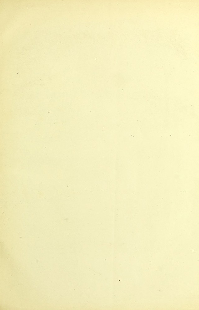 digitised image 3