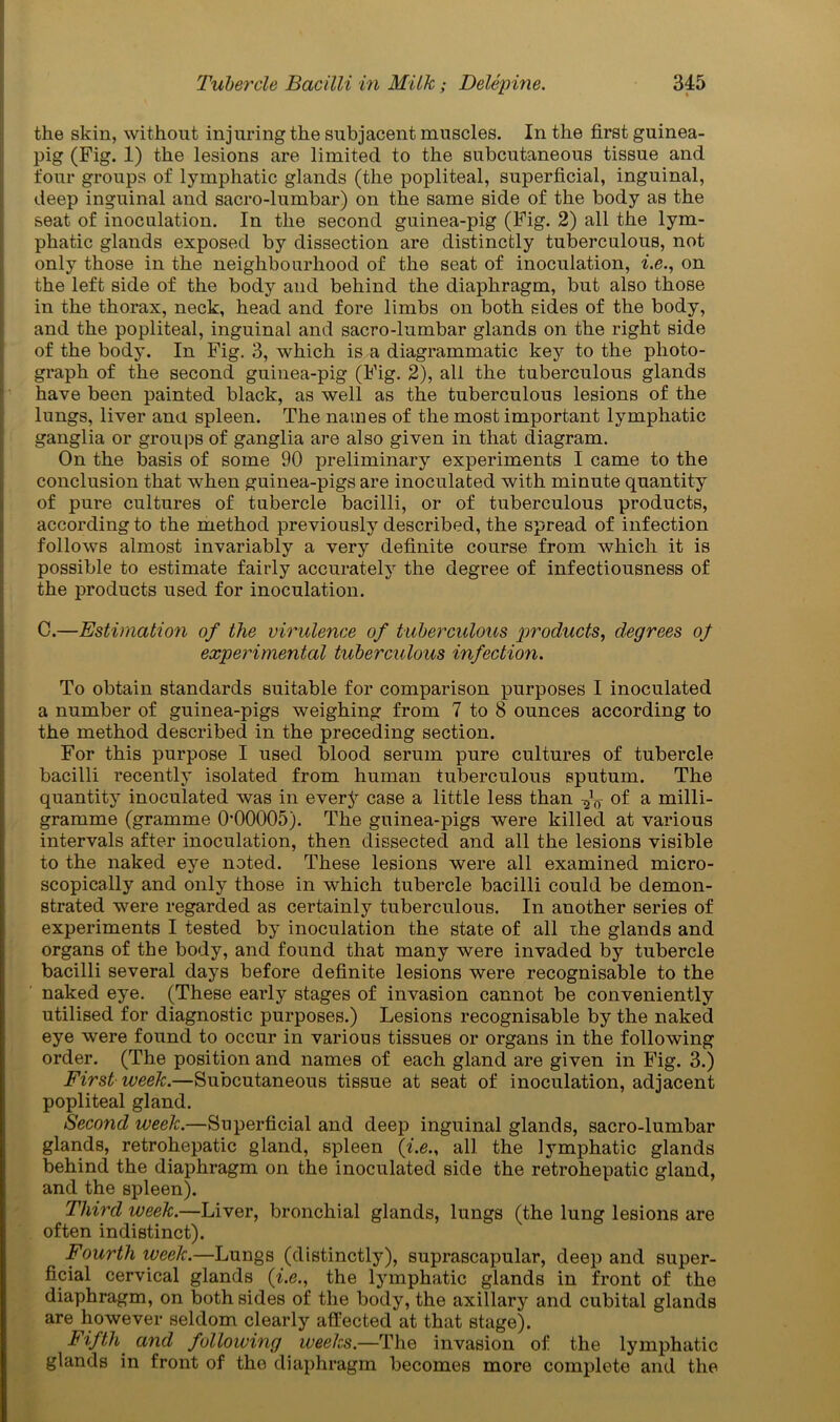 the skin, without injuring the subjacent muscles. In the first guinea- pig (Fig. 1) the lesions are limited to the subcutaneous tissue and four groups of lymphatic glands (the popliteal, superficial, inguinal, deep inguinal and sacro-lumbar) on the same side of the body as the seat of inoculation. In the second guinea-pig (Fig. 2) all the lym- phatic glands exposed by dissection are distinctly tuberculous, not only those in the neighbourhood of the seat of inoculation, i.e., on the left side of the body and behind the diaphragm, but also those in the thorax, neck, head and fore limbs on both sides of the body, and the popliteal, inguinal and sacro-lumbar glands on the right side of the body. In Fig. 3, which is a diagrammatic key to the photo- graph of the second guinea-pig (Fig. 2), all the tuberculous glands have been painted black, as well as the tuberculous lesions of the lungs, liver ana spleen. The names of the most important lymphatic ganglia or groups of ganglia are also given in that diagram. On the basis of some 90 preliminary experiments I came to the conclusion that when guinea-pigs are inoculated with minute quantity of pure cultures of tubercle bacilli, or of tuberculous products, according to the method previously described, the spread of infection follows almost invariably a very definite course from which it is possible to estimate fairly accurately the degree of infectiousness of the products used for inoculation. C.—Estimation of the virulence of tuberculous products, degrees of experimental tuberculous infection. To obtain standards suitable for comparison purposes I inoculated a number of guinea-pigs weighing from 7 to 8 ounces according to the method described in the preceding section. For this purpose I used blood serum pure cultures of tubercle bacilli recently isolated from human tuberculous sputum. The quantity inoculated was in every case a little less than of a milli- gramme (gramme OOOOOS). The guinea-pigs were killed at various intervals after inoculation, then dissected and all the lesions visible to the naked eye noted. These lesions were all examined micro- scopically and only those in which tubercle bacilli could be demon- strated were regarded as certainly tuberculous. In another series of experiments I tested by inoculation the state of all xhe glands and organs of the body, and found that many were invaded by tubercle bacilli several days before definite lesions were recognisable to the naked eye. (These eai’ly stages of invasion cannot be conveniently utilised for diagnostic purposes.) Lesions recognisable by the naked eye were found to occur in various tissues or organs in the following order. (The position and names of each gland are given in Fig. 3.) First week.—Subcutaneous tissue at seat of inoculation, adjacent popliteal gland. Second week.—Superficial and deep inguinal glands, sacro-lumbar glands, retrohepatic gland, spleen (i.e., all the lymphatic glands behind the diaphragm on the inoculated side the retrohepatic gland, and the spleen). Third week.—Liver, bronchial glands, lungs (the lung lesions are often indistinct). Fourth week.—Lungs (distinctly), suprascapular, deep and super- ficial cervical glands (i.e., the lymphatic glands in front of the diaphragm, on both sides of the body, the axillary and cubital glands are however seldom clearly affected at that stage). Fifth and following weeks.—The invasion of the lymphatic glands in front of the diaphragm becomes more complete and the