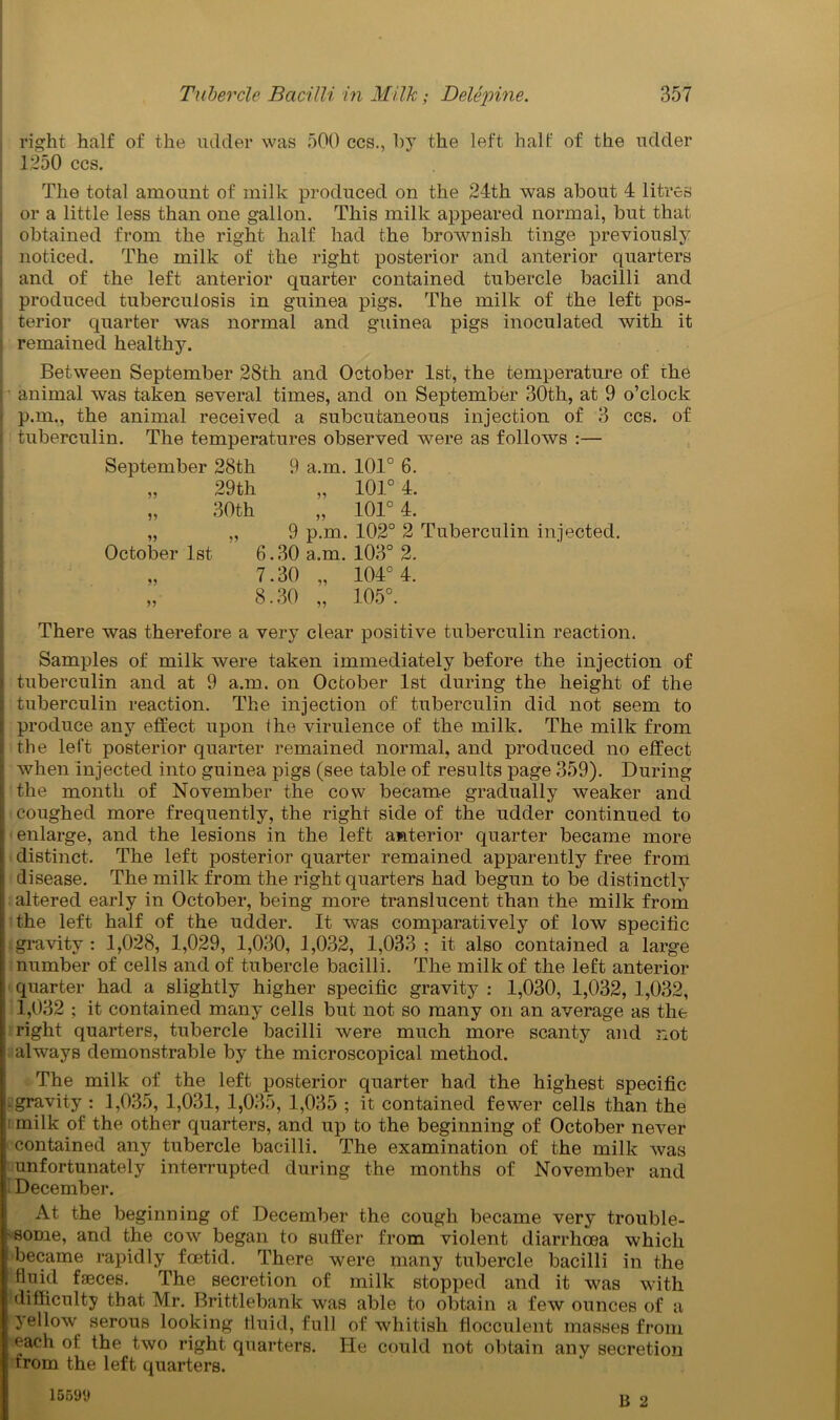 right half of the udder was 500 ccs., by the left half of the udder 1.250 ccs. The total amount of milk produced on the 24th was about 4 litres or a little less than one gallon. This milk appeared normal, but that obtained from the right half had the brownish tinge previously noticed. The milk of the right posterior and anterior quarters and of the left anterior quarter contained tubercle bacilli and produced tuberculosis in guinea pigs. The milk of the left pos- terior quarter was normal and guinea pigs inoculated with it remained healthy. Between September 28th and October 1st, the temperature of ihe animal was taken several times, and on September 30th, at 9 o’clock p.m., the animal received a subcutaneous injection of 3 ccs. of tuberculin. The temperatures observed were as follows :— September 28th 9 a.m. 101° 6. „ 29th „ 101° 4. „ 30th „ 101° 4. „ „ 9 p.m. 102° 2 Tuberculin injected. October 1st 6.30 a.m. 103° 2. „ 7.30 „ 104° 4. „ 8.30 „ 105°. There was therefore a very clear positive tuberculin reaction. I Samples of milk were taken immediately before the injection of tuberculin and at 9 a.m. on October 1st during the height of the i tuberculin reaction. The injection of tuberculin did not seem to I produce any effect upon the virulence of the milk. The milk from | the left posterior quarter remained normal, and produced no effect I when injected into guinea pigs (see table of results page 359). During the month of November the cow became gradually weaker and coughed more frequently, the right side of the udder continued to enlarge, and the lesions in the left anterior quarter became more distinct. The left posterior quarter remained apparently free from disease. The milk from the right quarters had begun to be distinctly altered early in October, being more translucent than the milk from the left half of the udder. It was comparatively of low specific gravity: 1,028, 1,029, 1,030, 1,032, 1,033 ; it also contained a large ■ number of cells and of tubercle bacilli. The milk of the left anterior quarter had a slightly higher specific gravity : 1,030, 1,032, 1,032, 1,032 ; it contained many cells but not so many on an average as the right quarters, tubercle bacilli were much more scanty and not always demonstrable by the microscopical method. The milk of the left posterior quarter had the highest specific -gravity : 1,035, 1,031, 1,035, 1,035 ; it contained fewer cells than the 1 milk of the other quarters, and up to the beginning of October never contained any tubercle bacilli. The examination of the milk was i unfortunately interrupted during the months of November and December. At the beginning of December the cough became very trouble- some, and the cow began to suffer from violent diarrhoea which became rapidly foetid. There were many tubercle bacilli in the fluid faeces. The secretion of milk stopped and it was with difficulty that Mr. Brittlebank was able to obtain a few ounces of a yellow serous looking fluid, full of whitish flocculent masses from each of the two right quarters. He could not obtain any secretion trom the left quarters. B 2 15591)