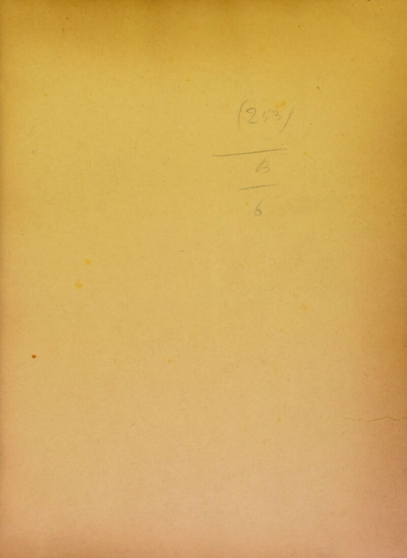 P.w» « *-'*^^* \ ^ ~ ,■’ '>«*' ' *.«: . V • li * • ^ « , * ■ !WgWr *•* ;^ ^ -V '■^• •■'.■ ,. ..:.?• ■■' • ' •: ■- ■ .:. !.:•'■■'••:Ji_ A -C f . ^ 4. - fl . ic*' T VI ■&' JN- iJ .'■i'jç. T*Jvî'’.V, *} ■ •■. »»^ ^^m:i ■>'