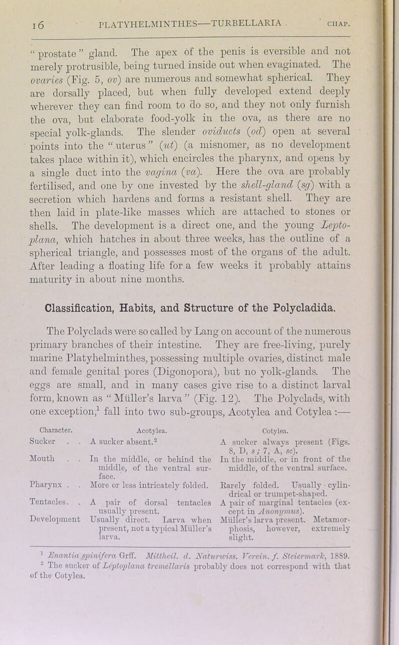 “ prostate ” gland. The apex of the penis is eversible and not merely protrusible, being turned inside out when evaginated. The ovaries (Fig. 5, ov) are numerous and somewhat spherical. They are dor sally placed, but when fully developed extend deeply wherever they can find room to do so, and they not only furnish the ova, but elaborate food-yolk in the ova, as there are no special yolk-glands. The slender oviducts (od) open at several points into the “ uterus ” (ut) (a misnomer, as no development takes place within it), which encircles the pharynx, and opens by a single duct into the vagina (va). Here the ova are probably fertilised, and one by one invested by the shell-gland (sg) with a secretion which hardens and forms a resistant shell. They are then laid in plate-like masses which are attached to stones or shells. The development is a direct one, and the young Lepto- plana, which hatches in about three weeks, has the outline of a spherical triangle, and possesses most of the organs of the adult. After leading a floating life for a few weeks it probably attains maturity in about nine months. Classification, Habits, and Structure of the Polycladida. The Polyclads were so called by Lang on account of the numerous primary branches of their intestine. They are free-living, purely marine Platyhelminthes, possessing multiple ovaries, distinct male and female genital pores (Digonopora), but no yollc-glands. The eggs are small, and in many cases give rise to a distinct larval form,known as “Muller’s larva” (Fig. 12). The Polyclads, with one exception,1 fall into two sub-groups, Acotylea and Cotylea :— Character. Acotylea. Cotylea. Sucker . . A sucker absent.2 A sucker always present (Figs. 8, D, s; 7, A, sc). Mouth . . In the middle, or behind the In the middle, or in front of the middle, of the ventral sur- middle, of the ventral surface, face. Pharynx . . More or less intricately folded. Rarely folded. Usually cylin- drical or trumpet-shaped. Tentacles. . A pair of dorsal tentacles A pair of marginal tentacles (ex- usually present. cept in Anonymus). Development Usually direct. Larva when Muller’s larva present. Metamor- present, not a typical Muller’s pliosis, however, extremely larva. slight. 1 Enantia spinifera Grff. Mitthcil. d. Naturwiss. Vcrcin. f. Stcicrmark, 1889. 2 The sucker of Leptoplana trcmcllaris probably does not correspond with that of the Cotylea.