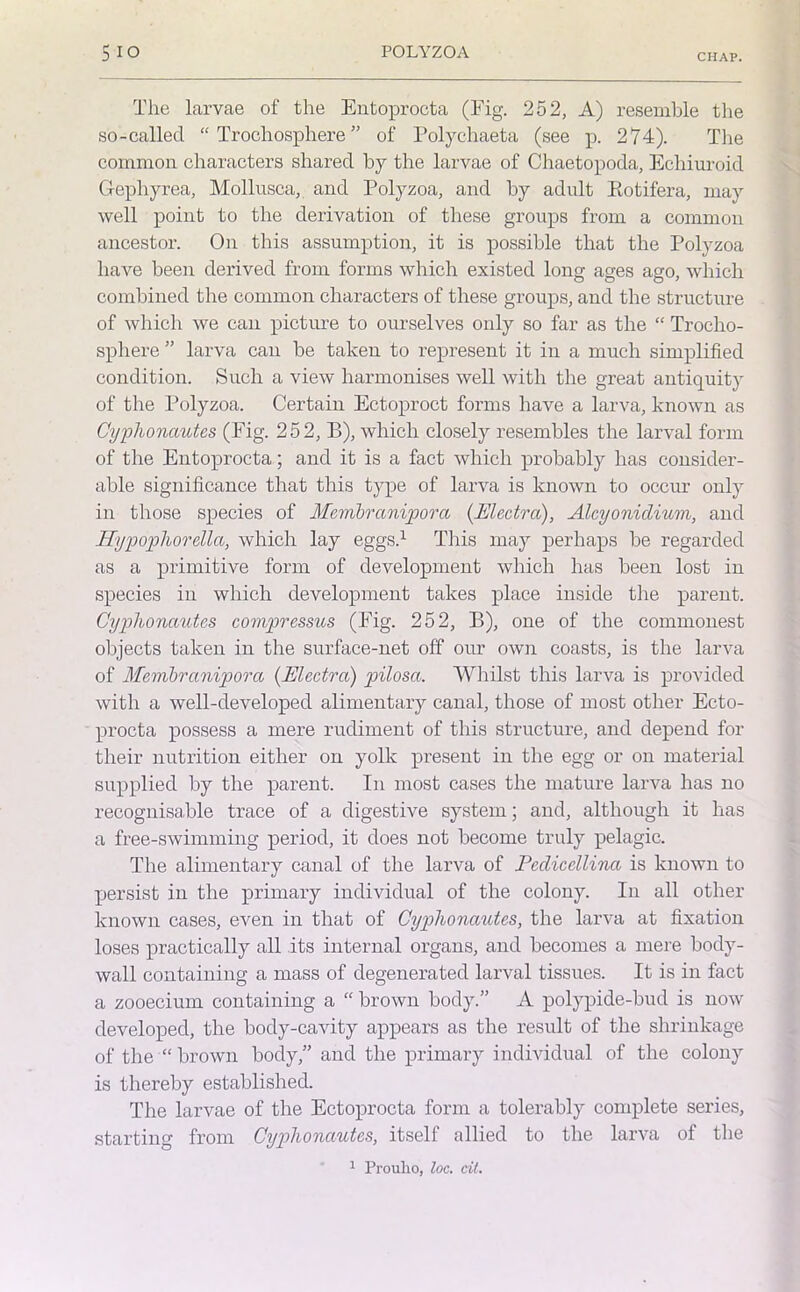 CHAP. The larvae of the Entoprocta (Fig. 252, A) resemble the so-called “ Trochosphere ” of Polychaeta (see p. 274). The common characters shared by the larvae of Chaetopoda, Echiuroid G-ephyrea, Mollusca, and Polyzoa, and by adult Ptotifera, may well point to the derivation of these groups from a common ancestor. On this assumption, it is possible that the Polyzoa have been derived from forms which existed long ages ago, which combined the common characters of these groups, and the structure of which we can picture to ourselves only so far as the “ Trocho- sphere ” larva can be taken to represent it in a much simplified condition. Such a view harmonises well with the great antiquity of the Polyzoa. Certain Ectoproct forms have a larva, known as Cyplionautcs (Fig. 252, B), which closely resembles the larval form of the Entoprocta; and it is a fact which probably has consider- able significance that this type of larva is known to occur only in those species of Membranipora (Electro), Alcyoniclium, and Hypophorella, which lay eggs.1 This may perhaps be regarded as a primitive form of development which has been lost in species in which development takes place inside the parent. Cyplionautcs coinpressus (Fig. 252, B), one of the commonest objects taken in the surface-net off our own coasts, is the larva of Membranipora (Electro) pilosa. Win 1st this larva is provided with a well-developed alimentary canal, those of most other Ecto- procta possess a mere rudiment of this structure, and depend for their nutrition either on yolk present in the egg or on material supplied by the parent. In most cases the mature larva has no recognisable trace of a digestive system; and, although it has a free-swimming period, it does not become truly pelagic. The alimentary canal of the larva of Eedicellina is known to persist in the primary individual of the colony. In all other known cases, even in that of Gyphonoutes, the larva at fixation loses practically all its internal organs, and becomes a mere body- wall containing a mass of degenerated larval tissues. It is in fact a zooecium containing a “ brown body.” A polypide-bud is now developed, the body-cavity appears as the result of the shrinkage of the “brown body,” and the primary individual of the colony is thereby established. The larvae of the Ectoprocta form a tolerably complete series, starting from Cyplionautcs, itself allied to the larva of the