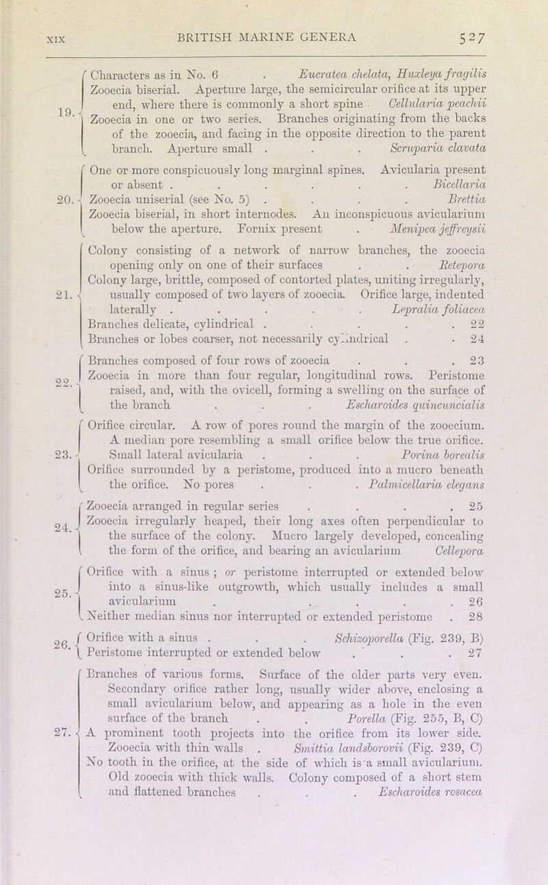 'Characters as in No. 6 . Eucratea chelata, Huxleyafragilis Zooecia biserial. Aperture large, the semicircular orifice at its upper end, where there is commonly a short spine Cellularia peachii Zooecia in one or two series. Branches originating from the backs of the zooecia, and facing in the opposite direction to the parent branch. Aperture small . . . Scruparia clavata 20. - ' One or more conspicuously long marginal spines. Avicularia present or absent ...... Bicellaria Zooecia uniserial (see No. 5) . . . Brettia Zooecia biserial, in short internodes. An inconspicuous avicularium below the aperture. Fornix present . Menipea jeffreysii Colony consisting of a network of narrow branches, the zooecia opening only on one of their surfaces . . Betepora Colony large, brittle, composed of contorted plates, uniting irregularly, usually composed of two layers of zooecia. Orifice large, indented laterally ..... Lepralia foliacea Branches delicate, cylindrical . . . . .22 Branches or lobes coarser, not necessarily cylindrical . -24 ’ Branches composed of four rows of zooecia . . .23 Q ) Zooecia in more than four regular, longitudinal rows. Peristome raised, and, with the ovicell, forming a swelling on the surface of the branch . . . Escharoides quincuncialis f Orifice circular. A row of pores round the margin of the zooecium. A median pore resembling a small orifice below the true orifice. 23. - Small lateral avicularia . . . Borina borealis Orifice surrounded by a peristome, produced into a mucro beneath the orifice. No pores . . . Palmicellaria elegans 24. Zooecia arranged in regular series . . . .25 Zooecia irregularly heaped, their long axes often perpendicular to the surface of the colony. Mucro largely developed, concealing the form of the orifice, and bearing an avicularium Cellepora f Orifice with a sinus ; or peristome interrupted or extended below into a sinus-like outgrowth, which usually includes a small ‘ J avicularium . . . . .26 l Neither median sinus nor interrupted or extended peristome . 28 26 f Orifice with a sinus . . . Schizoporella (Fig. 239, B) ( Peristome interrupted or extended below . . .27 27. ’ Branches of various forms. Surface of the older parts very even. Secondary orifice rather long, usually wider above, enclosing a small avicularium below, and appearing as a hole in the even surface of the branch . . Porclla (Fig. 255, B, C) - A prominent tooth projects into the orifice from its lower side. Zooecia with thin walls . Smittia landsborovii (Fig. 239, C) No tooth in the orifice, at the side of which is a small avicularium. Old zooecia with thick walls. Colony composed of a short stem and flattened branches . . . Escharoides rosacea