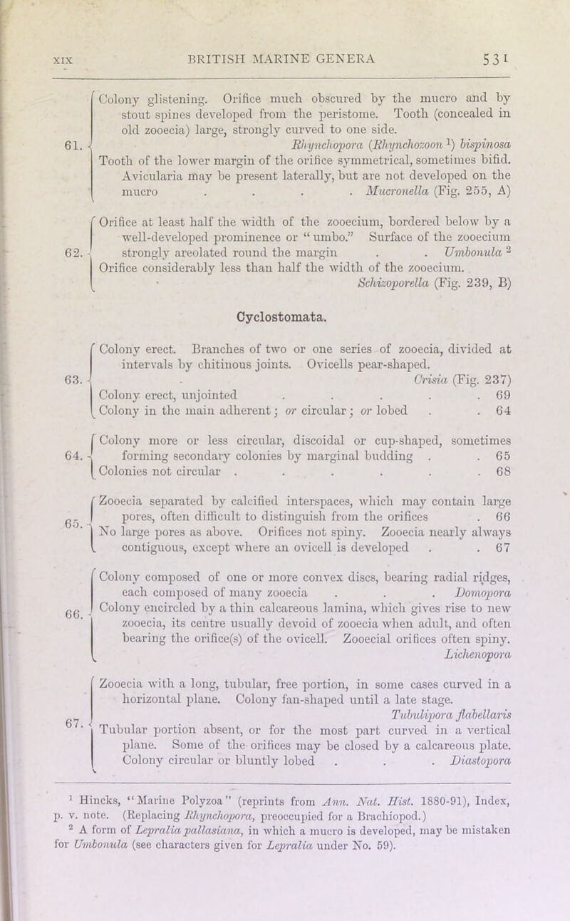 61. Colony glistening. Orifice much obscured by the mucro and by stout spines developed from the peristome. Tooth (concealed in old zooecia) large, strongly curved to one side. Riiynchopora (Rhynchozoona) bispinosa Tooth of the lower margin of the orifice symmetrical, sometimes bifid. Avicularia may be present laterally, but are not developed on the mucro .... Mucronella (Fig. 255, A) Orifice at least half the width of the zooecium, bordered below by a well-developed prominence or “ umbo.” Surface of the zooecium strongly areolated round the margin . . Umbonula 2 Orifice considerably less than half the width of the zooecium. Sch/izoporella (Fig. 239, B) Cyclostomata. 63. ’ Colony erect. Branches of two or one series of zooecia, divided at intervals by chitinous joints. Ovicells pear-shaped. Crisia (Fig. 237) Colony erect, unjointed . . . . .69 kColony in the main adherent; or circular; or lobed . .64 f Colony more or less circular, discoidal or cup-shaped, sometimes 64. -j forming secondary colonies by marginal budding . . 65 | Colonies not circular . . . . . .68 65. ' Zooecia separated by calcified interspaces, which may contain large pores, often difficult to distinguish from the orifices . 66 No large pores as above. Orifices not spiny. Zooecia nearly always contiguous, except where an ovieell is developed . .67 66. Colony composed of one or more convex discs, bearing radial ridges, each composed of many zooecia . . . Domopora Colony encircled by a thin calcareous lamina, which gives rise to new zooecia, its centre usually devoid of zooecia when adult, and often bearing the orifice(s) of the ovieell. Zooecial orifices often spiny. Lichenopora 67. Zooecia with a long, tubular, free portion, in some cases curved in a horizontal plane. Colony fan-shaped until a late stage. Tubulipora Jlabellaris Tubular portion absent, or for the most part curved in a vertical plane. Some of the orifices may be closed by a calcareous plate. Colony circular or bluntly lobed . . . Diastopora 1 Hincks, “Marine Polyzoa” (reprints from Ann. Nat. Hist. 1880-91), Index, p. v. note. (Replacing Hhynchopora, preoccupied for a Brachiopod.) 2 A form of Lepralia pallasiana, in which a mucro is developed, may be mistaken for Umbonula (see characters given for Lepralia under No. 59).