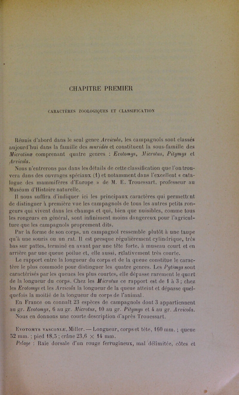 CHAI'ITRE PREMIER C.ARACTÈRKS ZOOLOGIQUES ET ELASSIFICATION Iléunis d’abord dans le seul genre Arvicola, les campagnols sont classés aujourd’hui dans la famille des mnridés et constituent la sous-famille des Microlinœ comprenant quatre genres : Ecolomijs, Microtus, Pili/mi/s et Arvicola. Nous n’entrerons pas dans les détails de cette classification que l’on trou- vera dans des ouvrages spéciaux (1) et notamment dans l’excellent « cata- logue des mammifères d’Europe » de E. Trouessart, professeur au -Muséum d’Ilistoire naturelle. 11 nous suffira d’indiquer ici les principaux caractères qui permettent de distinguer h première vue les campagnols de tous les autres petits ron- geurs qui vivent dans les champs et qui, bien que nuisibles, comme tous les rongeurs en général, sont infiniment moins dangereux pour l’agricul- ture que les campagnols proprement dits. Par la forme de son corps, un campagnol ressemble plutôt à une taupe qu’(à une souris ou un rat. 11 est presque régulièrement cylindrique, très bas sur pattes, terminé en avant par une tète forte, à museau court et en arrière par une queue poilue et, elle aussi, relativement très courte. Le rapport entre la longueur du corps et de ta queue constitue le carac- tère le plus commode pour distinguer les quatre genres. Les Pi/limi/s sont caractérisés par les queues les plus courtes, elle dépasse rarement le quart de la longueur du corps. Chez tes Microtus ce rapport est de 1 à 3 ; chez les Ei'otomijs et les Arvicola la longueur de la queue atteint et dépasse quel- quefois la moitié de la longueur du corps de l’animal. En France on connaît 23 espèces de campagnols dont 3 appartiennent au gr. Evolomys, 6 au gr. Microtus, 10 au gr. Pilijmys et 4 au gr. Arvicola. Nous en donnons une courte description d’après Trouessart. Evotomys VA.SCONMÆ, Miller. — Longueur, corps et tète, 160 mm. ; queue 52 mm. ; pied 18,5 ; crilne 23,0 X 14 mm. I*elage : Raie dorsale d’un rouge ferrugineux, mat délimitée, côtes et