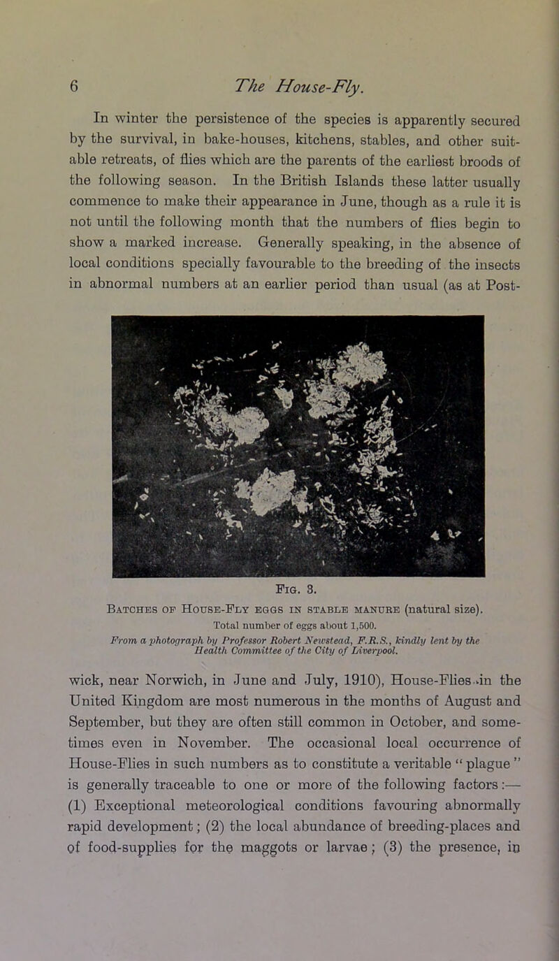 In winter the persistence of the species is apparently secured hy the survival, in bake-houses, kitchens, stables, and other suit- able retreats, of flies which are the parents of the earliest broods of the following season. In the British Islands these latter usually commence to make their appearance in June, though as a rule it is not until the following month that the numbers of flies begin to show a marked increase. Generally speaking, in the absence of local conditions specially favourable to the breeding of the insects in abnormal numbers at an earher period than usual (as at Post- Fig. 3. Batches of House-Fly eggs in stable manure (natural size). Total number of eggs about 1,500. From a photograph by Professor Robert Newstead, P.R.S., kindly lent by the Health Committee of the City of Liverpool. wick, near Norwich, in June and July, 1910), House-Flies Jn the United Kingdom are most numerous in the months of August and September, but they are often still common in October, and some- times even in November. The occasional local occurrence of House-Flies in such numbers as to constitute a veritable “ plague ” is generally traceable to one or more of the following factors:— (1) Exceptional meteorological conditions favouring abnormally rapid development; (2) the local abundance of breeding-places and of food-supplies for the maggots or larvae; (3) the presence, io