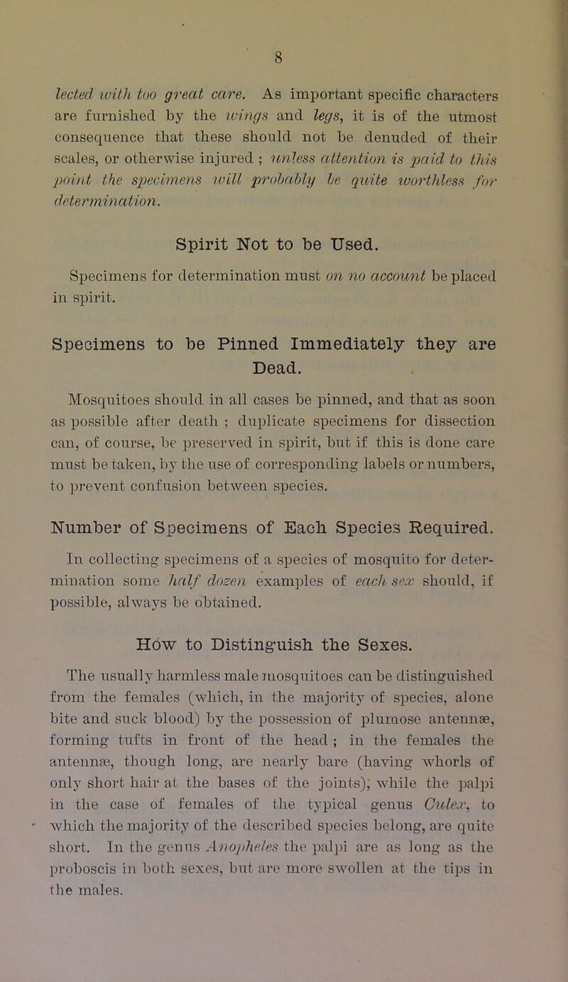 lected ivitli too great care. As important specific characters are furnished by the icings and legs, it is of the utmost consequence that these should not be denuded of their scales, or otherwise injured ; unless attention is paid to this point the spiecimens tvill prohaMy he quite ivorthless for determination. Spirit Not to be Used. Specimens for determination must on no account be placed in spirit. Specimens to be Pinned Immediately they are Dead. Mosquitoes should in all cases be pinned, and that as soon as possible after death ; duplicate specimens for dissection can, of course, be pi’eserved in spirit, but if this is done care must betaken, by the use of corresponding labels or numbers, to prevent confusion between species. Number of Specimens of Each Species Required. In collecting specimens of a sj)ecies of mosqxiito for deter- mination some half dozen examjDles of each se,v should, if possible, alwaj'S be obtained. How to Disting'uish the Sexes. The usually harmless male mosquitoes can be distinguished from the females (which, in the majority of species, alone bite and suck blood) by the possession of plumose antennae, forming tufts in front of the head ; in the females the antennae, tliough long, are nearly bare (having whorls of only short hair at the bases of the joints); while the palpi in the case of females of the typical genus Cule.r, to which the majority of the described species belong, are quite short. In tlie genus Anojdieles the palpi are as long as the proboscis in both sexes, but are more swollen at the tips in the males.