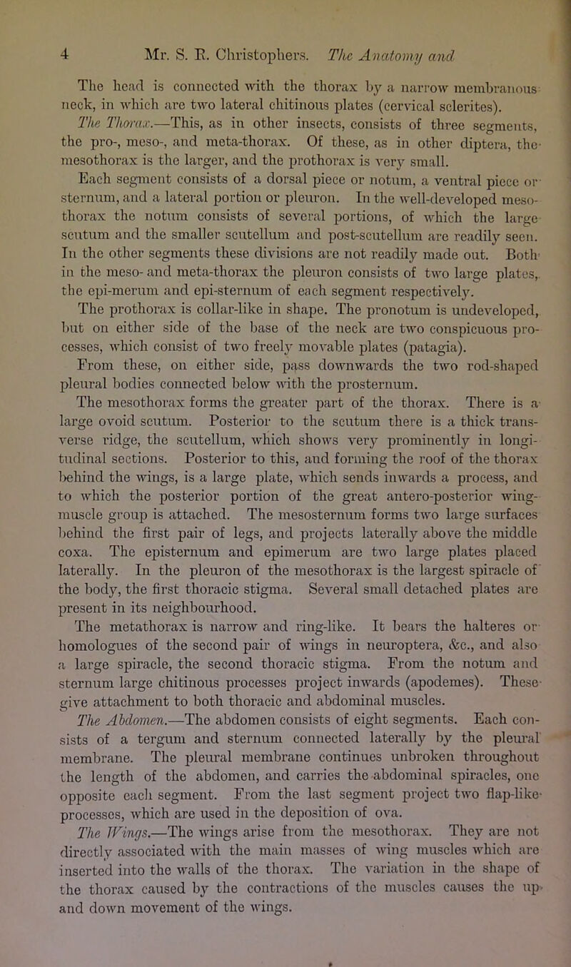 The head is connected with the thorax by a narrow meinbranons neck, in A\diich are two lateral chitinous plates (cervical sclerites). The Thorax.—This, as in other insects, consists of three segments, the pro-, meso-, and meta-thorax. Of these, as in other diptera, the- mesothorax is the larger, and the prothorax is very small. Each segment consists of a dorsal piece or notum, a ventral piece or- stermtm, and a lateral portion or pleuron. In the well-developed meso- thorax the notum consists of several portions, of which the large scutum and the smaller scutellum and post-scutellum are readily seen. In the other segments these divisions are not readily made out. Both- in the meso- and nieta-thorax the pleuron consists of two large plates,, the epi-merum and epi-sternum of each segment respect!velJ^ The prothorax is collar-like in shape. The pronotum is undeveloped, I)ut on either side of the base of the neck are two conspicuous pro- cesses, which consist of two freely movable plates (patagia). From these, on either side, pass downwards the two rod-shaped pleural bodies connected below with the prosternum. The mesothorax forms the greater part of the thorax. There is a- large ovoid scutum. Posterior to the scutum there is a thick trans- verse ridge, the scutellum, which shows very prominently in longi- tudinal sections. Posterior to this, and forming the roof of the thorax l)ehind the wings, is a large plate, which sends inwards a process, and to which the posterior portion of the great antero-posterior wing- muscle group is attached. The mesostermim forms two large surfaces behind the first pair of legs, and projects laterally above the middle coxa. The episternum and epimerum are two large plates placed laterally. In the pleuron of the mesothorax is the largest spiracle of' the body, the first thoracic stigma. Several small detached plates are present in its neighbourhood. The metathorax is narrow and ring-like. It bears the halteres or- homologues of the second pair of wings in neuroptera, &c., and also a large spiracle, the second thoracic stigma. From the notum and sternum large chitinous processes jirojeet inwards (apodemes). These- give attachment to both thoracic and abdominal muscles. The Abdomen.—The abdomen consists of eight segments. Each co)i- sists of a tergum and sternum connected laterally by the pleural membrane. The pleural membrane continues unbroken throughout the length of the abdomen, and carries the abdominal spiracles, one opposite eacli segment. From the last segment project two fiap-like- processcs, which are used in the deposition of ova. The Wings.—The wings arise from the mesothorax. They are not directly associated with the main masses of wing muscles which are inserted into the walls of the thorax. The variation in the shape of the thorax caused by the contractions of the muscles causes the up- and down movement of the wings.