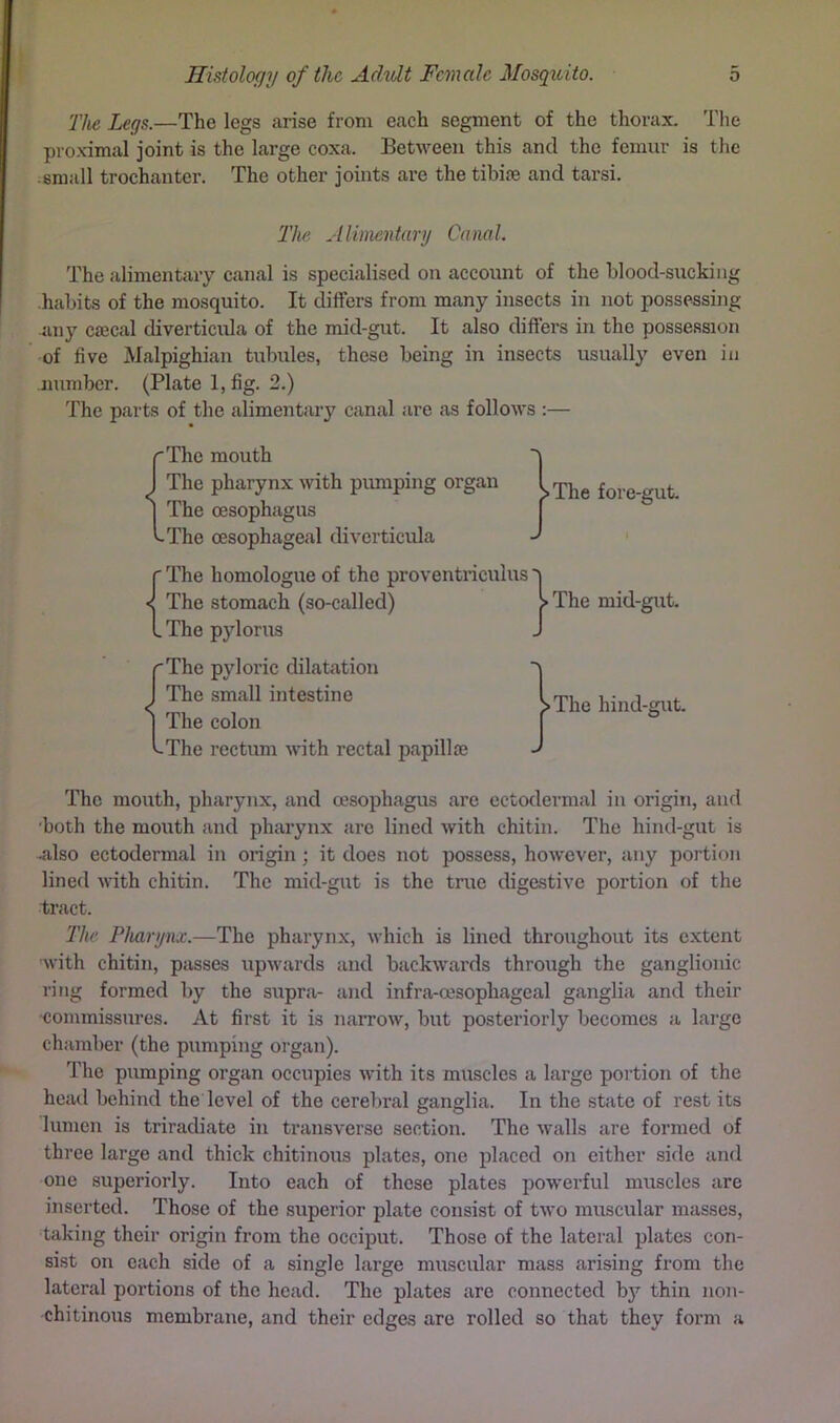 The Legs.—The legs arise from each segment of the thorax. The proximal joint is the large coxa. Between this and the femur is the -small trochanter. The other joints are the tihice and tai’si. The Alimentary Canal. The alimentary canal is specialised on account of the blood-sucking -habits of the mosquito. It differs from many insects in not possessing iiny C£ecal diverticixla of the mid-gut. It also differs in the possession of five Malpighian tubules, these being in insects usually even in .number. (Plate 1, fig. 2.) The parts of the alimentary canal are as follows :— rThe mouth I The pharynx with pumping organ I The oesophagus bThe oesophageal diverticula {The homologue of the proventriculus The stomach (so-called) The pylorus rThe pyloric dilatation 1 The small intestine I The colon ^The rectum with rectal papilloe The fore-gut. The mid-gut. The hind-gut. The mouth, pharynx, and oesophagus are ectodermal in origin, and •both the mouth and pharynx are lined with chitin. The hind-gut is 4ilso ectodermal in origin; it does not possess, however, any portion lined with chitin. The mid-gut is the true digestive portion of the tract. The Pharynx.—The pharynx, which is lined throughout its extent with chitin, passes upwards and backwards through the ganglionic ring formed by the supra- and infra-cesophageal ganglia and their •commissures. At first it is narrow, but posteriorly becomes a large chamber (the pumping organ). The pumping organ occupies with its muscles a large portion of the head behind the level of the cerebral ganglia. In the state of rest its lumen is triradiate in transverse section. The walls are formed of three large and thick chitinous plates, one placed on either side and one superiorly. Into each of these plates powerful muscles are inserted. Those of the superior plate consist of two muscular masses, taking their origin from the occiput. Those of the lateral plates con- sist on each side of a single large muscular mass arising from the lateral portions of the head. The plates are connected b}’’ thin non- chitinous membrane, and their edges are rolled so that they form a