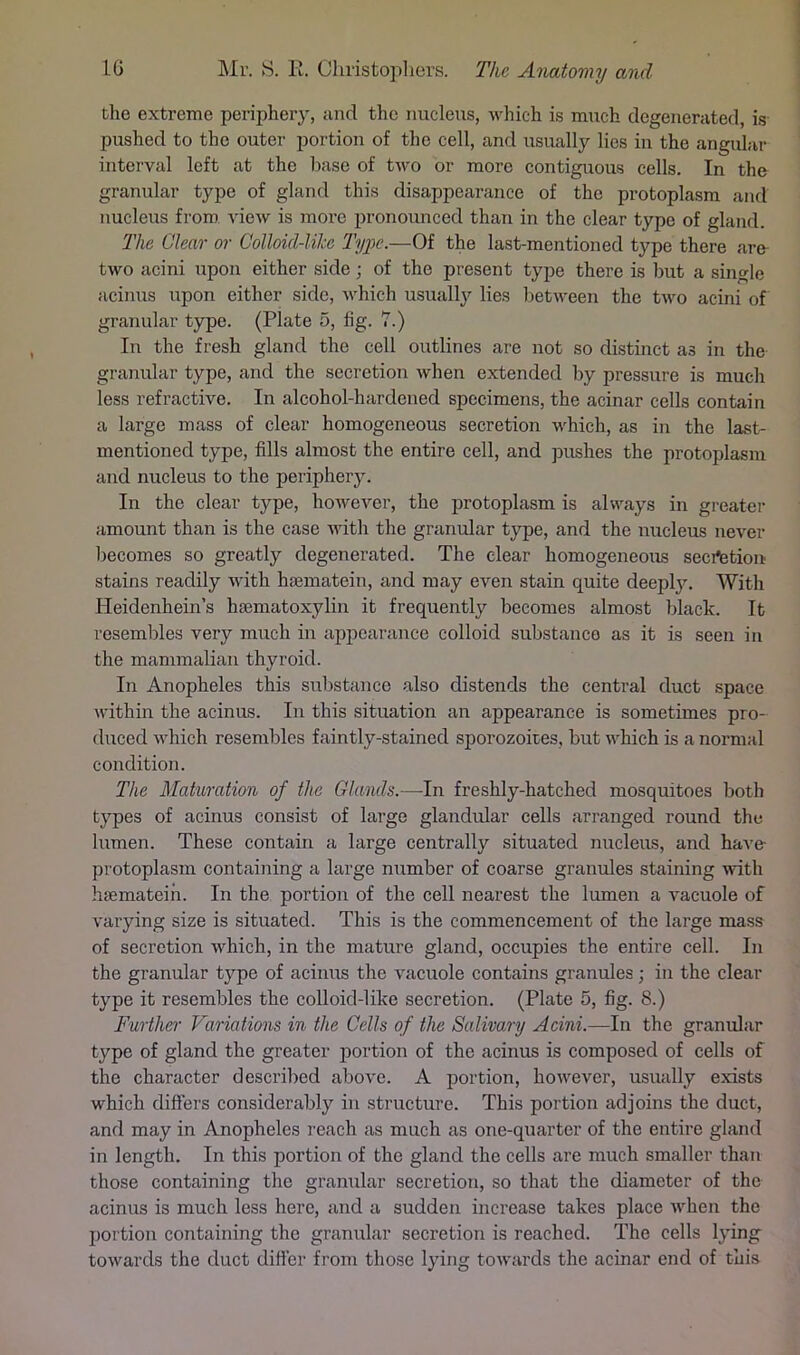 the extreme periphery, and the nucleus, which is much degenerated, is pushed to the outer portion of the cell, and usually lies in the angixliir interval left at the base of two or more contiguous cells. In the granular type of gland this disappearance of the protoplasm and nucleus from view is more ijronounced than in the clear type of gland. The Clear or Colloid-lilce Type.—Of the last-mentioned type there are two acini upon either side; of the present type there is but a single acinus upon either side, which usuall}'^ lies between the two acini of granular type. (Plate 5, fig. 7.) In the fresh gland the cell outlines are not so distinct as in the granular type, and the secretion when extended by pressure is much less refractive. In alcohol-hardened specimens, the acinar cells contain a large mass of clear homogeneous secretion v'hich, as in the last- mentioned type, fills almost the entire cell, and pushes the protoplasm and nucleus to the periphery. In the clear type, however, the protoplasm is always in greater amount than is the case with the granular type, and the nucleus never becomes so greatly degenerated. The clear homogeneous sedition stains readily with haematein, and may even stain quite deeply. With Heidenhein’s hrematoxylin it frequently becomes almost Ijlack. It resembles very much in appearance colloid substance as it is seen in the mammalian thyroid. In Anopheles this substance also distends the central duct space Avithin the acinus. In this situation an appearance is sometimes pro- duced which resembles faintly-stained sporozoites, but which is a normal condition. The Maturation of the Glands.—In freshly-hatched mosquitoes both types of acinus consist of large glandular cells arranged round the lumen. These contain a large centrally situated nucleus, and haA'e- protoplasm containing a large number of coarse granules staining with htemateih. In the portion of the cell nearest the lumen a vacuole of varying size is situated. This is the commencement of the large mass of secretion Avhich, in the mature gland, occupies the entire cell. In the granular type of acinus the vacuole contains granules; in the clear type it resembles the colloid-like secretion. (Plate 5, fig. 8.) Further Variations in the Cells of the Salivary Acini.—In the granular type of gland the greater portion of the acinus is composed of cells of the character described above. A jDortion, however, usually exists which difiers considerably in structure. This portion adjoins the duct, and may in Anopheles reach as much as one-quarter of the entire gland in length. In this portion of the gland the cells are much smaller than those containing the granular secretion, so that the diameter of the acinus is much less here, and a sudden increase takes place when the portion containing the gramdar secretion is reached. The cells lying towards the duct differ from those lying toAvards the acinar end of this