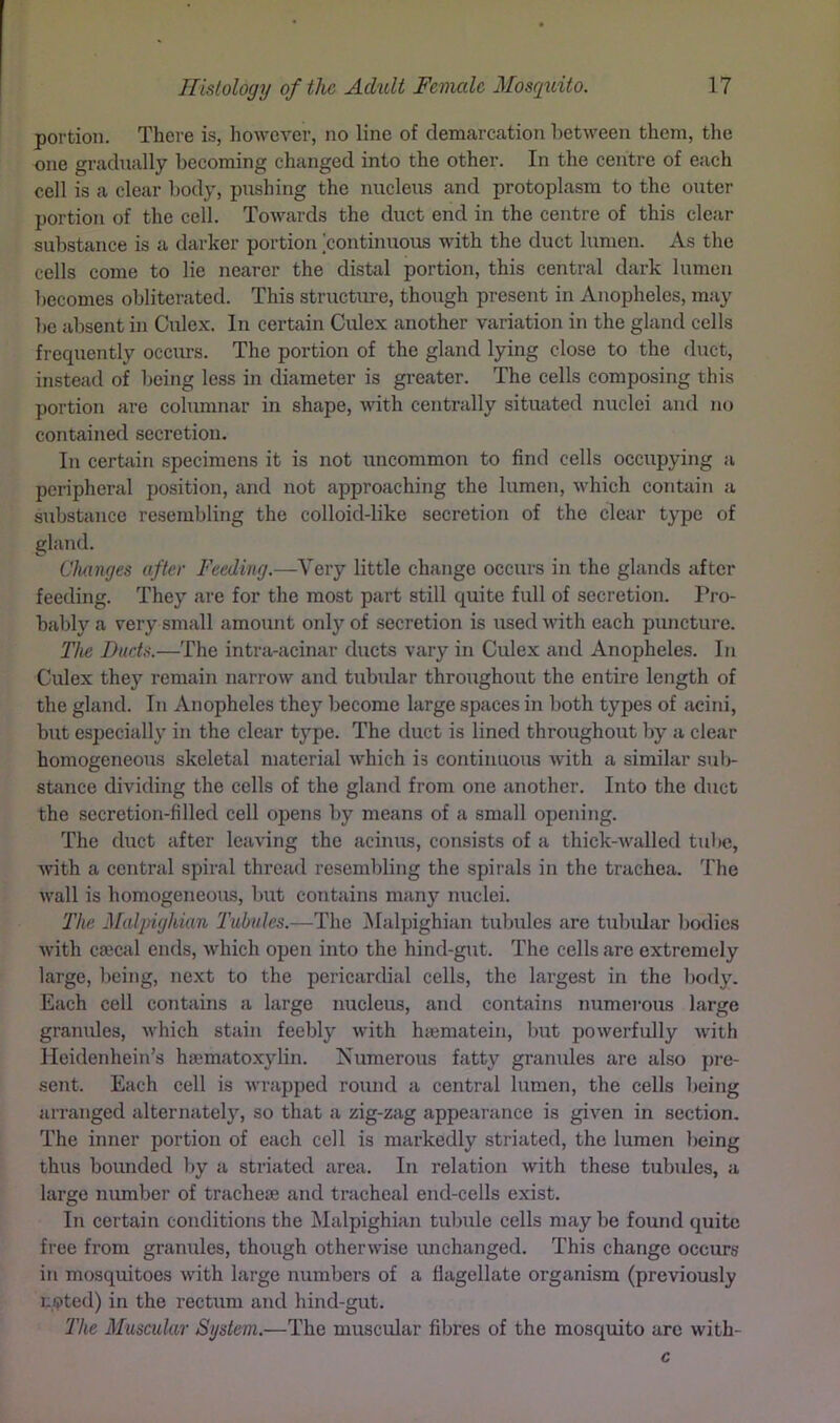 portion. There is, liowever, no line of demarcation between them, the one gradually becoming changed into the other. In the centre of each cell is a clear body, pushing the nucleus and protoplasm to the outer portion of the cell. Towards the duct end in the centre of this clear substance is a darker portion continuous with the duct lumen. As the cells come to lie nearer the distal portion, this central dark lumen becomes obliterated. This structure, though present in Anopheles, may be absent in Culex. In certain Culex another variation in the gland cells frequently occurs. The portion of the gland lying close to the duct, instead of being less in diameter is greater. The cells composing this portion are columnar in shape, with centrfdly situated nuclei and no contained secretion. In certain specimens it is not uncommon to find cells occupying a peripheral position, and not approaching the lumen, which contiiin a substance resembling the colloid-like secretion of the clear type of gland. Changes after Feeding.—Very little change occurs in the glands after feeding. They are for the most part still quite full of secretion. Pro- bably a very small amount only of secretion is used with each puncture. The Ducts.—The intra-acinar ducts vary in Culex and Anopheles. In Culex they remain narrow and tubular throughout the entire length of the gland. In Anopheles they become large spaces in both types of acini, but especially in the clear type. The duct is lined throughout by a clear homogeneous skeletal material which is continuous with a similar sub- stance dividing the cells of the gland from one another. Into the duct the secretion-filled cell opens by means of a small opening. The duct after leaving the acinus, consists of a thick-walled tube, Avith a central spiral thread resembling the spirals in the trachea. The Avail is homogeneous, but contains many nuclei. The Malpighian Tubules.—The Malpighian tubules are tubular bodies Avith cajcal ends, Avhich open into the hind-gut. The cells are extremely large, being, next to the pericarcbal cells, the largest in the body. Each cell contains a large nucleus, and contains numerous large granules, Avhich stain feebly Avith hsematein, but poAverfully Avith Heidenhein’s haimatoxylin. Numerous fatty granules are also pre- sent. Each cell is Avrapped round a central lumen, the cells being arranged alternately, so that a zig-zag appearance is giA^en in section. The inner portion of each cell is markedly striated, the lumen l>eing thus bounded l>y a striated area. In relation Avith these tubules, a large number of trachete and tracheal end-cells exist. In certain conditions the Malpighian tubule cells may be found quite free from granules, though otherwise unchanged. This change occurs in mosquitoes Avith large numbers of a flagellate organism (previously n.ipted) in the rectum and hind-gut. The Muscular System.—The muscular fibres of the mosquito are with- c