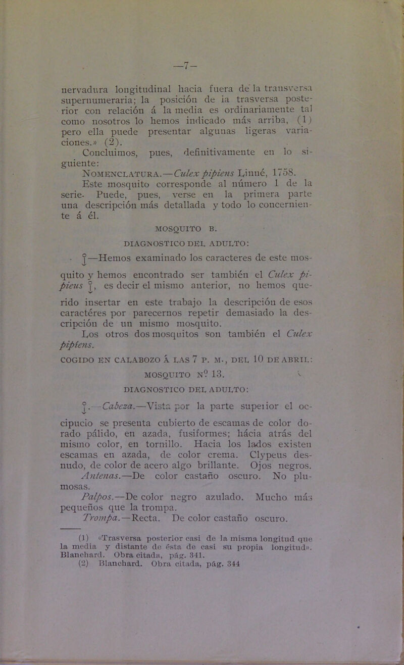 —7- nervadura longitudinal hacia fuera dé la transversa supernumeraria; la posición de ia trasversa poste- rior con relación á la inedia es ordinariamente tal como nosotros lo hemos indicado más arriba, (1) pero ella puede presentar algunas ligeras varia- ciones.« (2). Concluimos, pues, definitivamente en lo si- guiente; Nomenclatura.—Culexpipiáis Linné, 1758. Este mosquito corresponde al número 1 de la serie. Puede, pues, verse en la primera parte una descripción más detallada y todo lo concernien- te á él. MOSQUITO B. DIAGNOSTICO DEL .‘VDULTO: • ?—Hemos examinado los caracteres de este mos- ■J» quito y hemos encontrado .ser también el Culex pi- piáis f, es decir el mismo anterior, no hemos que- rido insertar en este trabajo la descripción de esos caractéres por parecemos repetir dema.siado la des- cripción de un mismo mo.squito. Los otros dos mosquitos son también el Culex pipiens. COGIDO EN CALABOZO Á LAS 7 P. M-, DEL 10 DE ABRIL: MOSQUITO n9 13. DIAGNOSTICO DEL ADULTO; ?. Cabeza.—Vista por la parte supeiior el oc- cipucio se presenta cubierto de escamas de color do- rado pálido, en azada, fusiformes; hácia atrás del mismo color, en tornillo. Hacia los lados existen escamas en azada, de color crema. Clypeus des- nudo, de color de acero algo brillante. Ojos negros. Antenas.—De color castaño o.scuro. No plu- mosas. Palpos.—De color negro azulado. Mucho má;i pequeños que la trompa. Trompa. — Recta. De color castaño o.scuro. (1) «Trasversa posterior casi de la misma longitud que la media y distante de í^sta de casi su jjropia longitud». Blanchard. Obra citada, pág. 341. (2) Blanchard. Obra citada, pág. 344